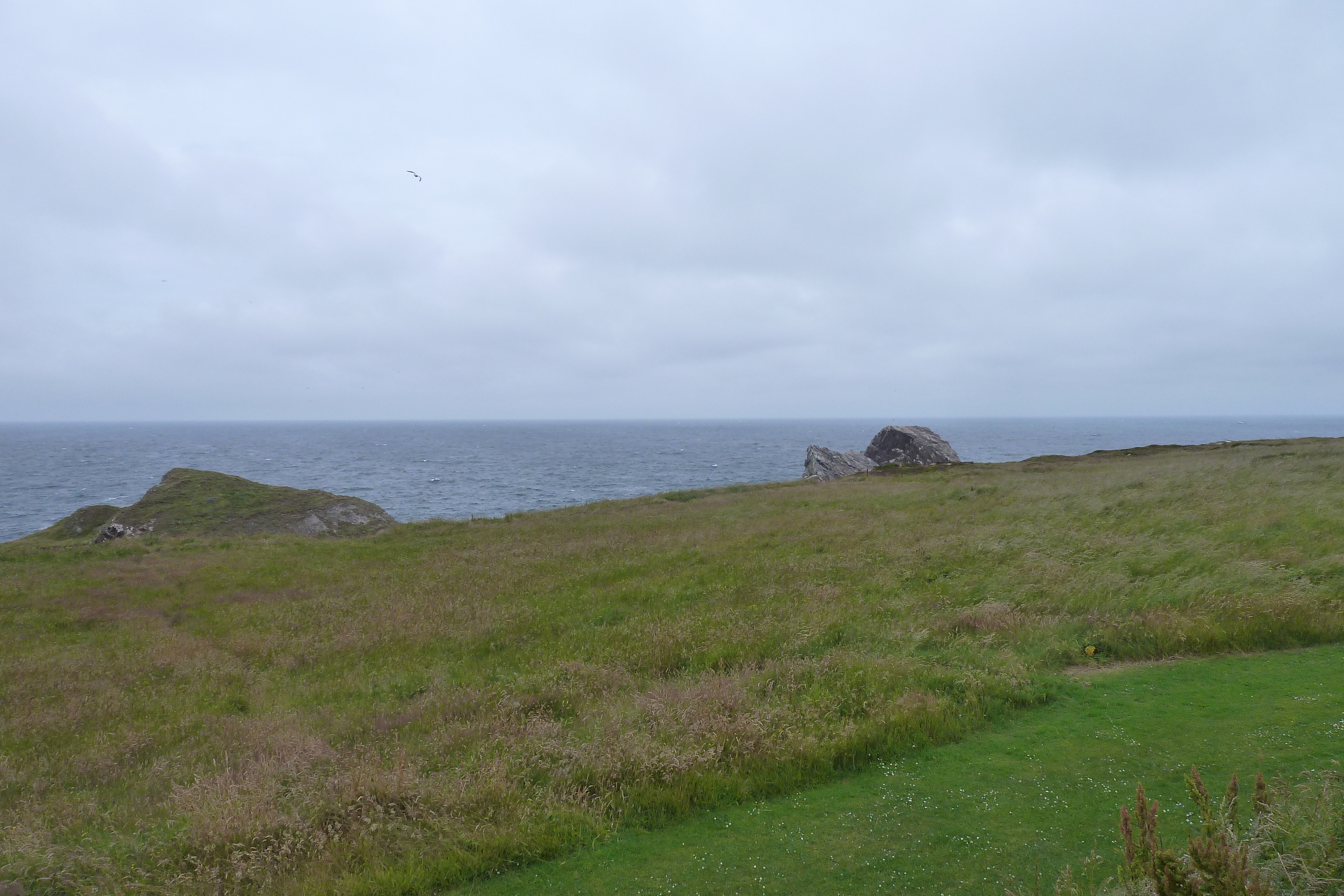 Picture United Kingdom Scotland Moray Coast 2011-07 10 - Tour Moray Coast