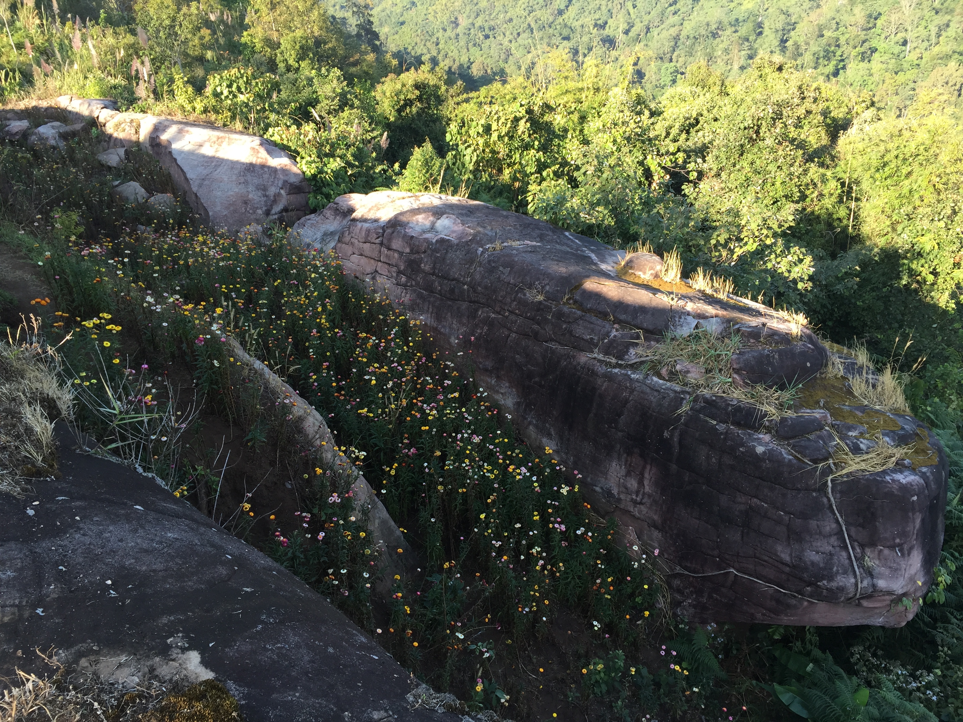 Picture Thailand Phu Hin Rong Kla National Park 2014-12 253 - History Phu Hin Rong Kla National Park