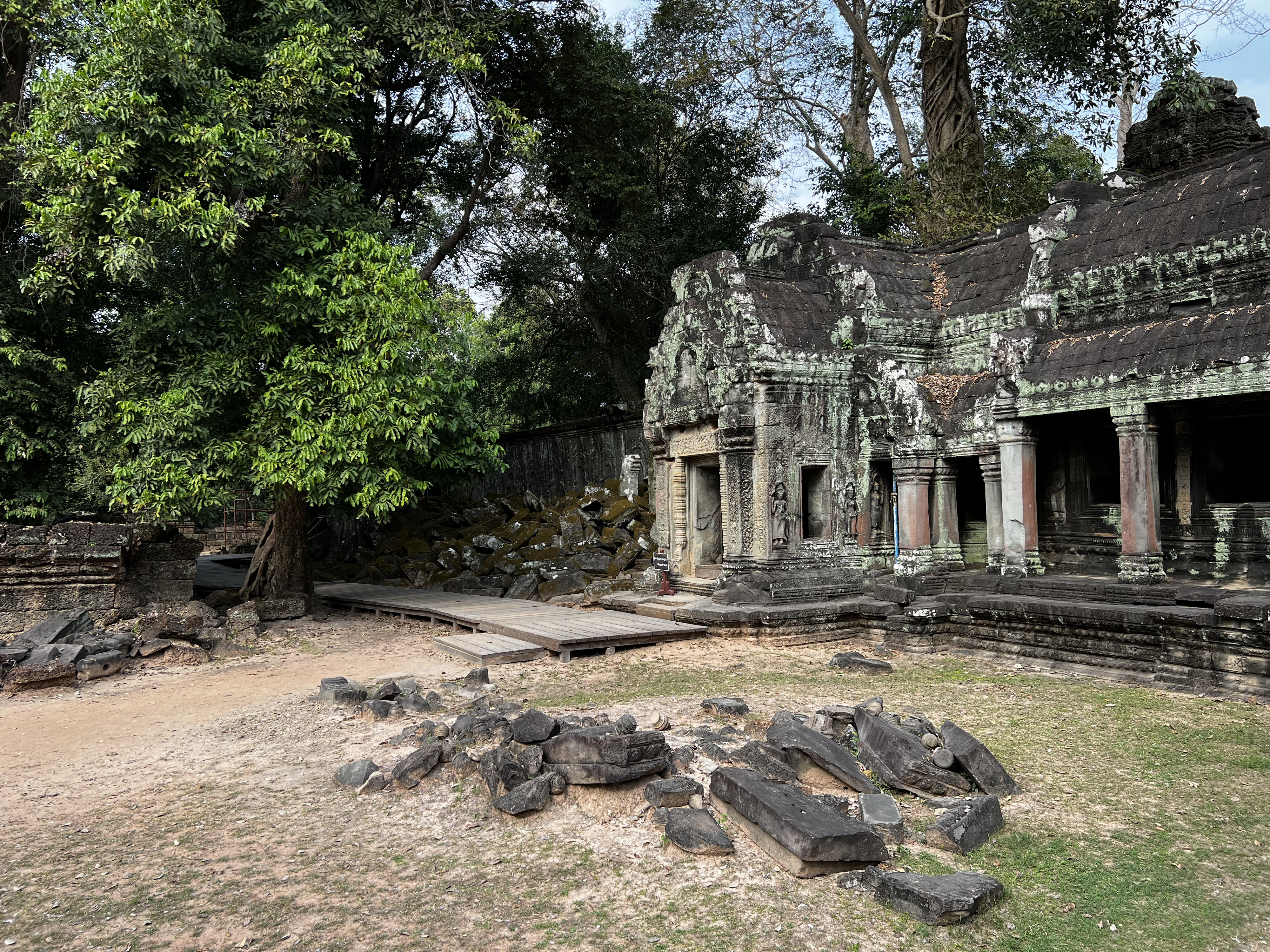 Picture Cambodia Siem Reap Ta Prohm 2023-01 5 - Tours Ta Prohm