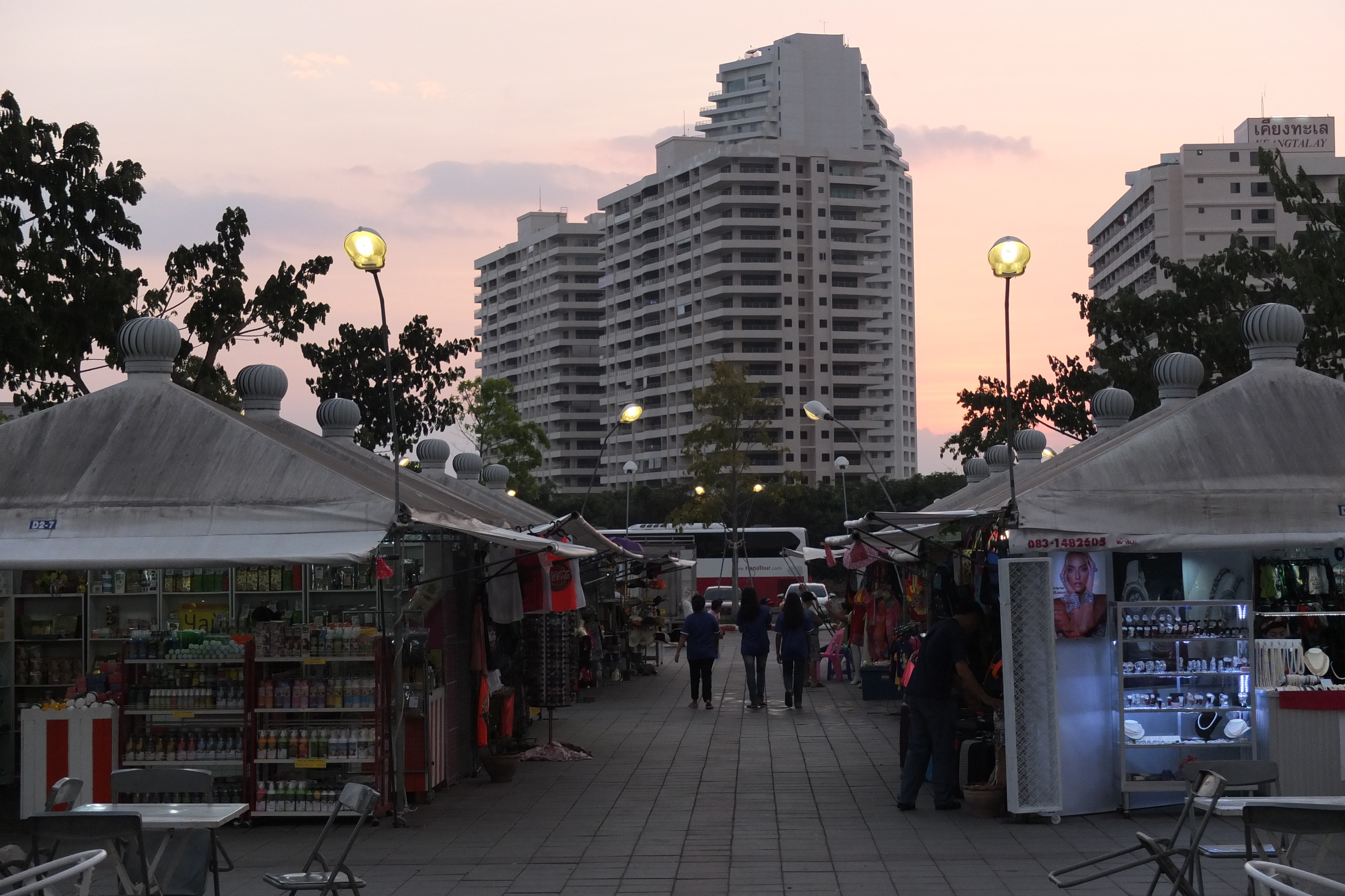 Picture Thailand Pattaya 2014-02 7 - Tours Pattaya