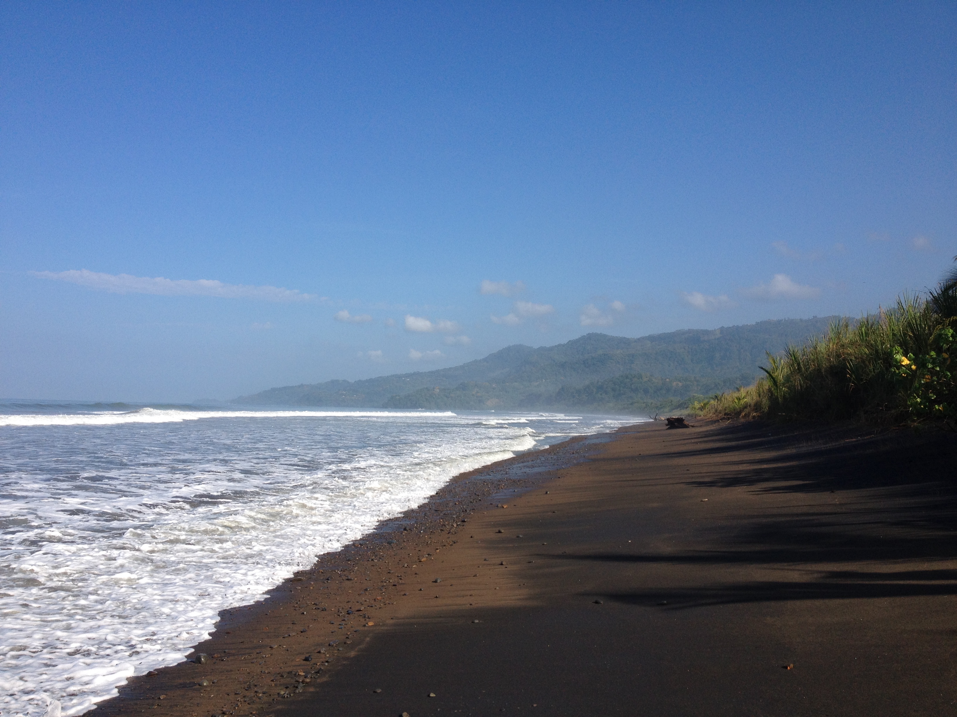 Picture Costa Rica Uvita 2015-03 115 - Journey Uvita