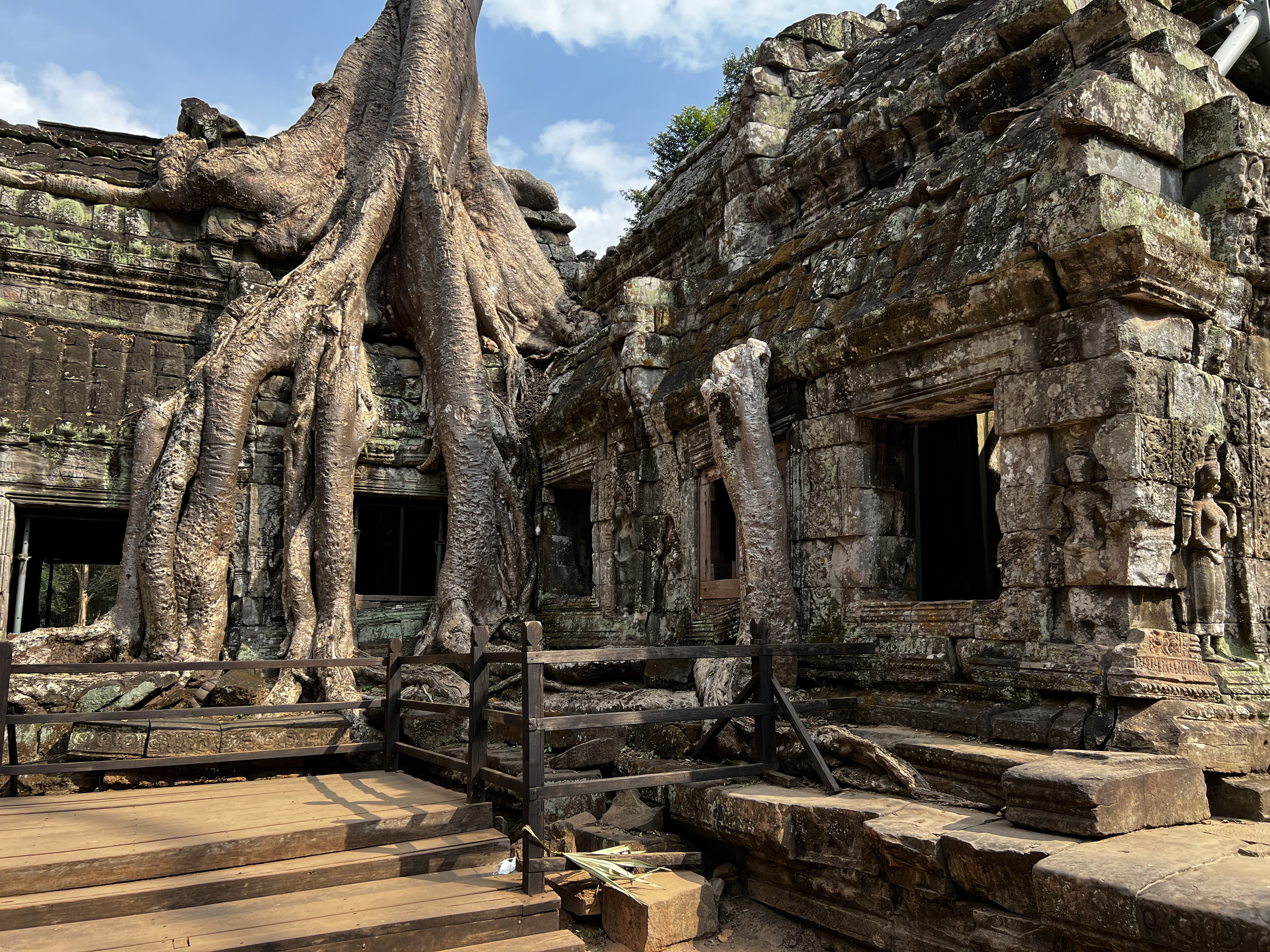 Picture Cambodia Siem Reap Ta Prohm 2023-01 72 - Discovery Ta Prohm