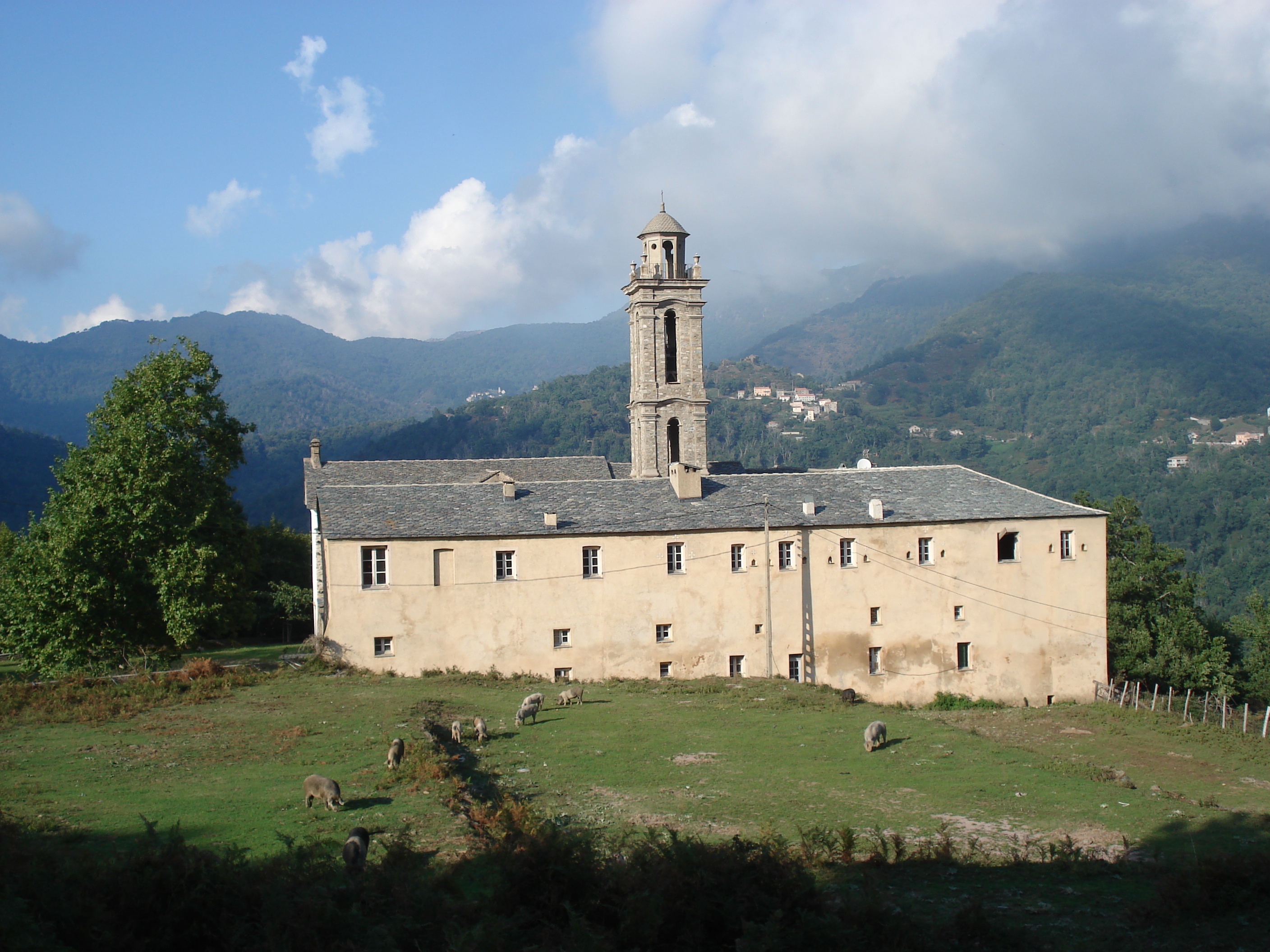 Picture France Corsica Valle d'alesani 2006-09 113 - Tours Valle d'alesani