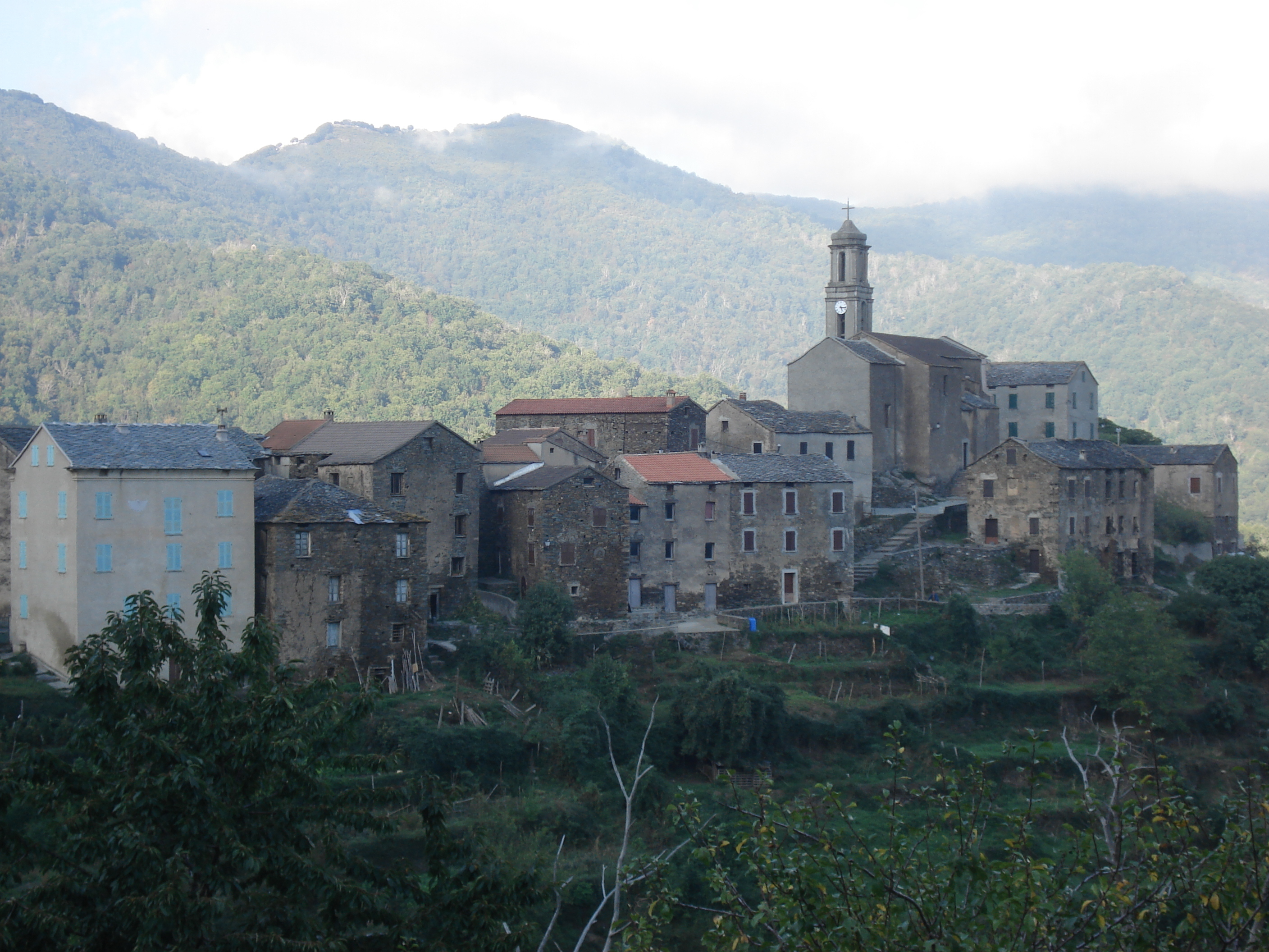 Picture France Corsica Valle d'alesani 2006-09 39 - Tours Valle d'alesani