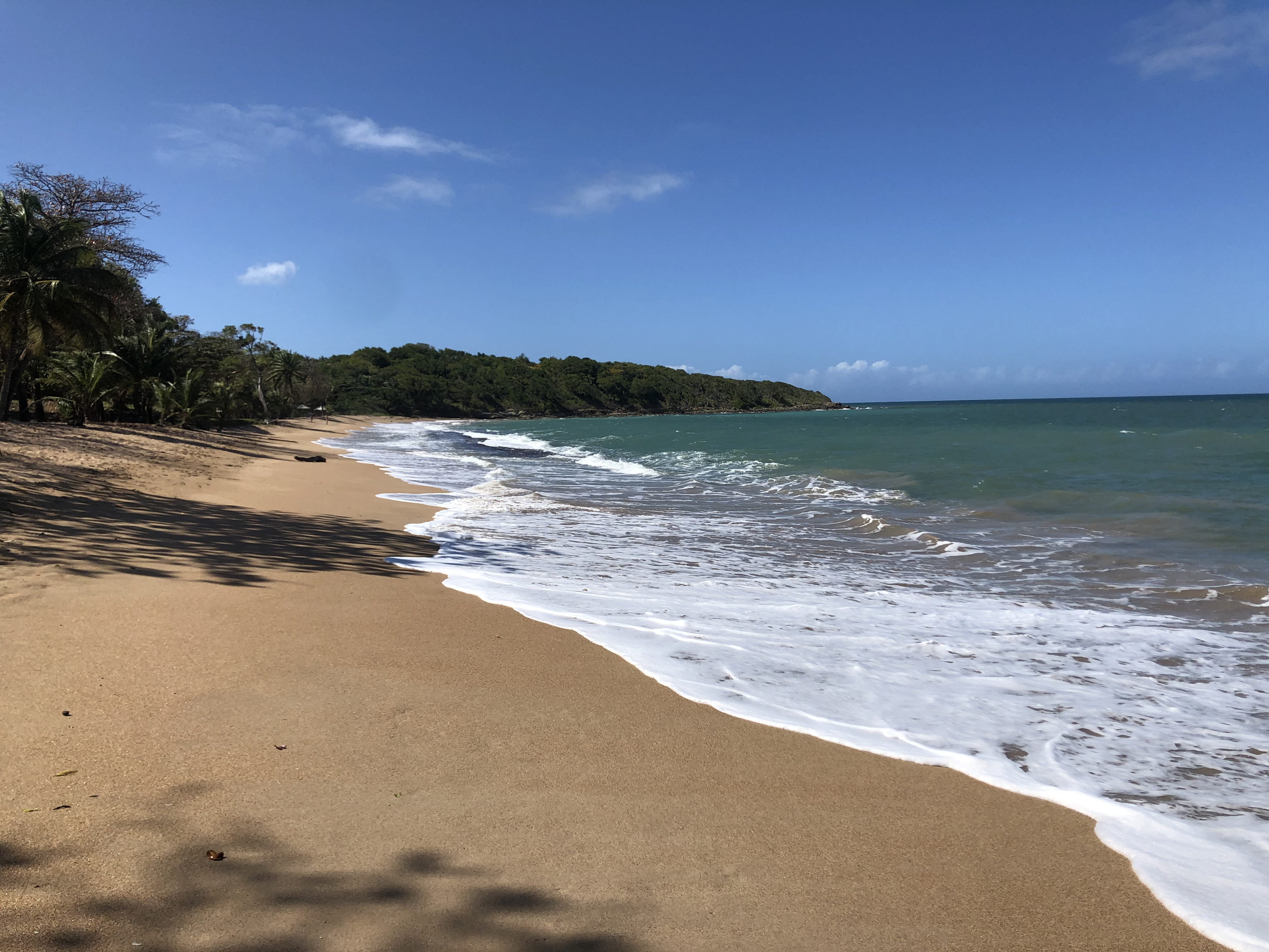 Picture Guadeloupe Sainte Rose 2021-02 8 - Around Sainte Rose