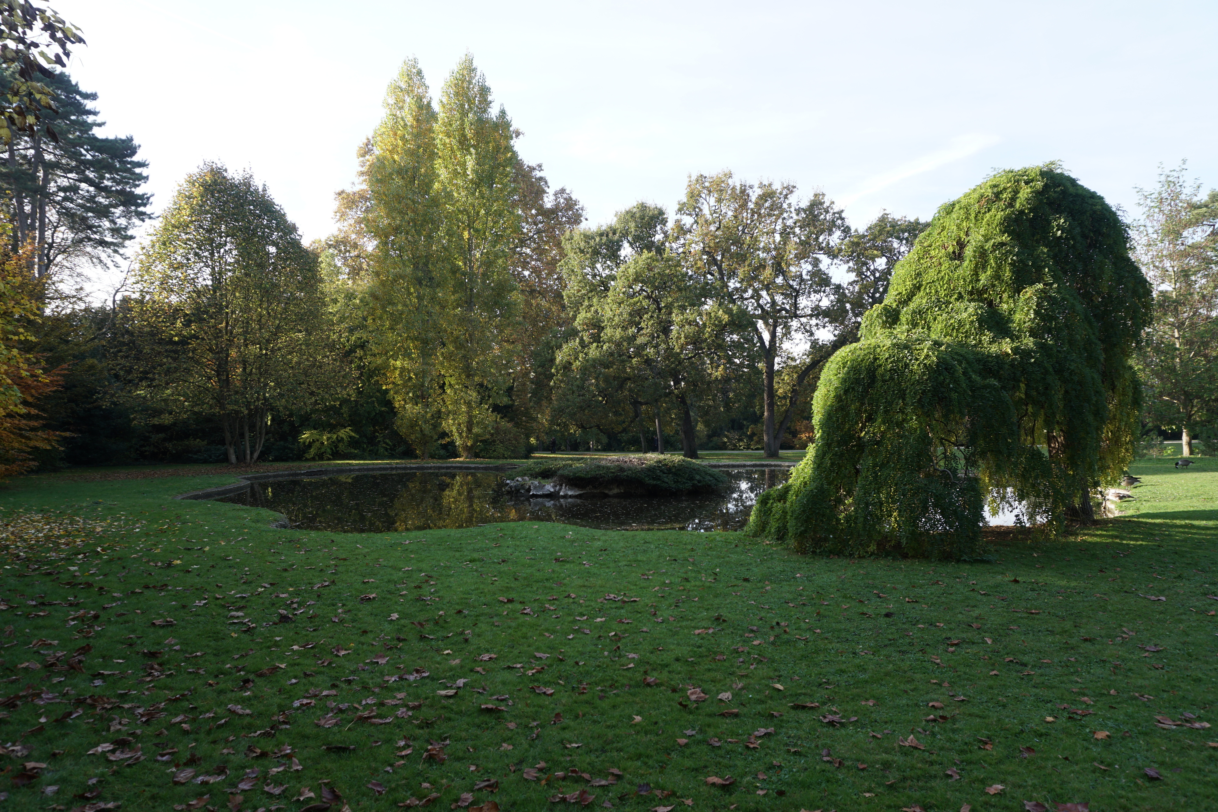 Picture France Paris Bagatelles 2016-10 18 - Journey Bagatelles