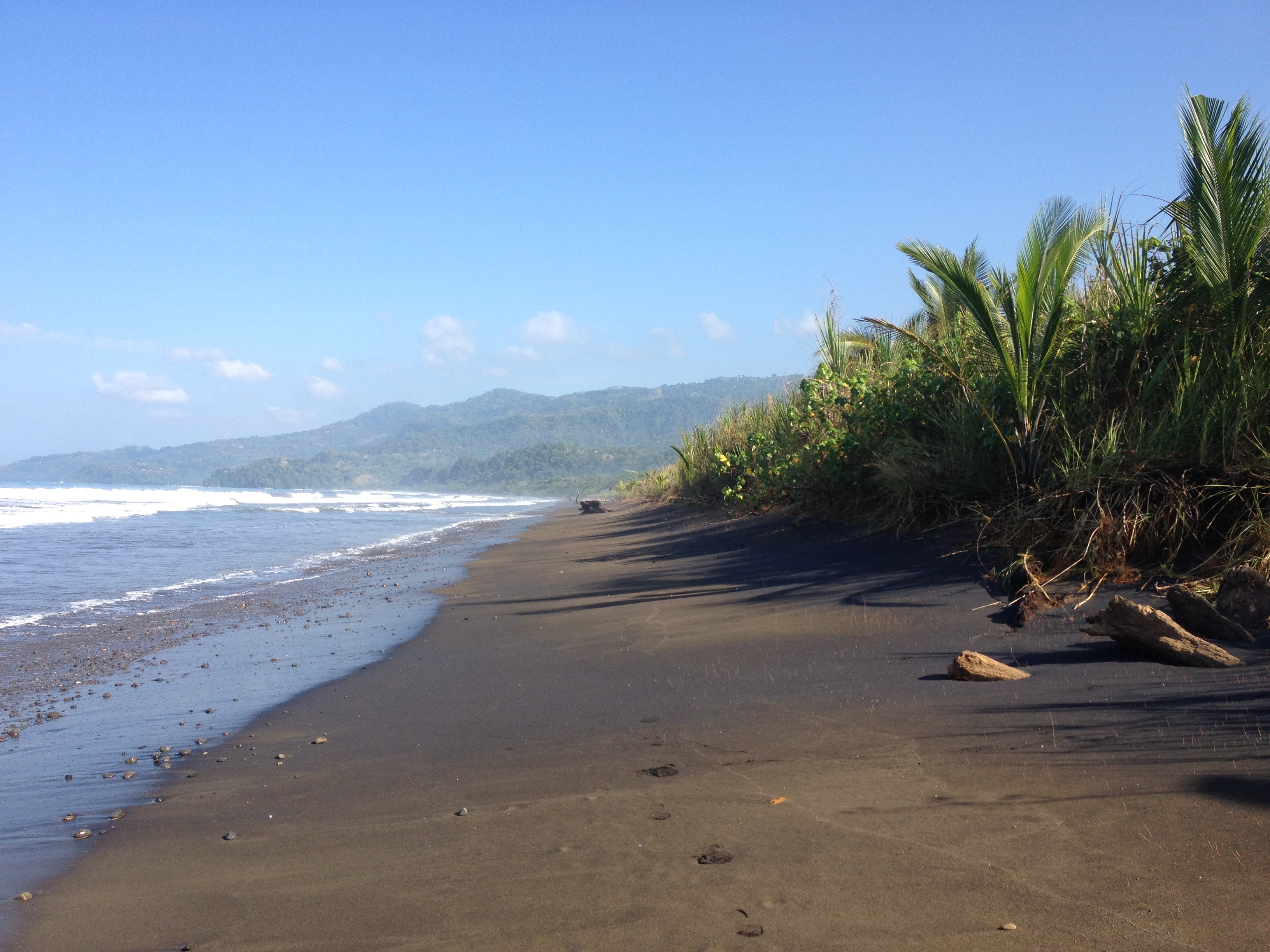 Picture Costa Rica Uvita 2015-03 20 - Around Uvita