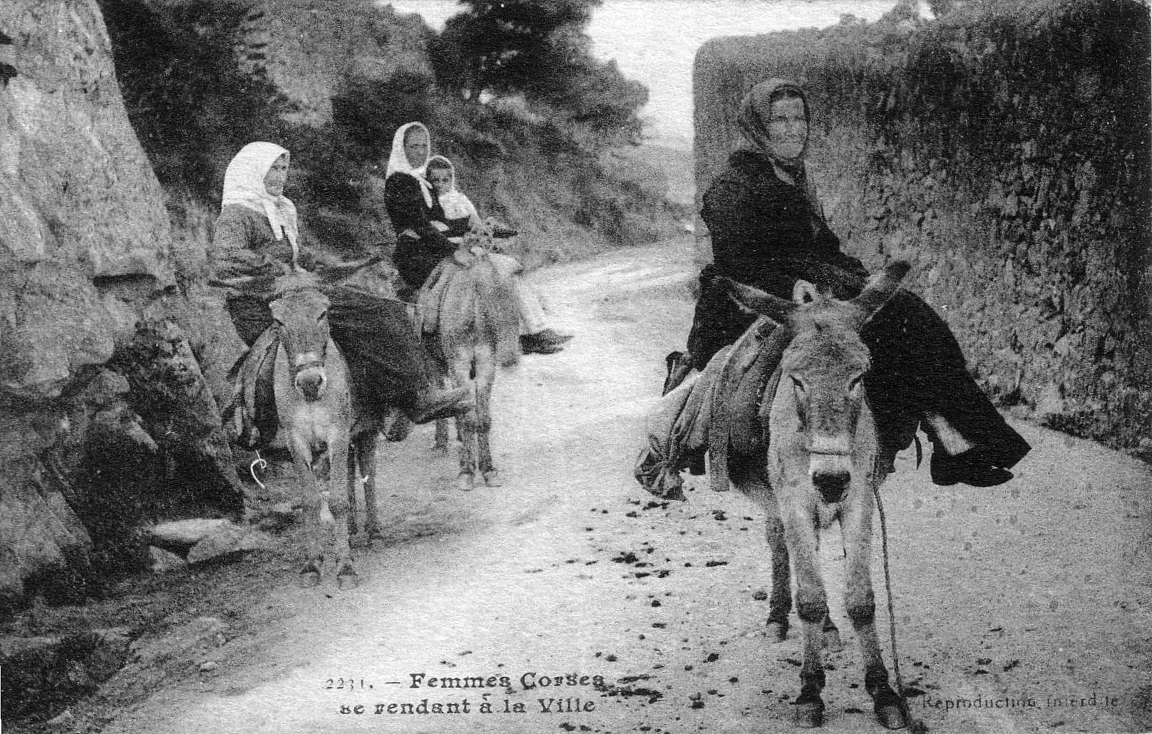 Picture France Corsica Old Postcards 1900-01 273 - Around Old Postcards