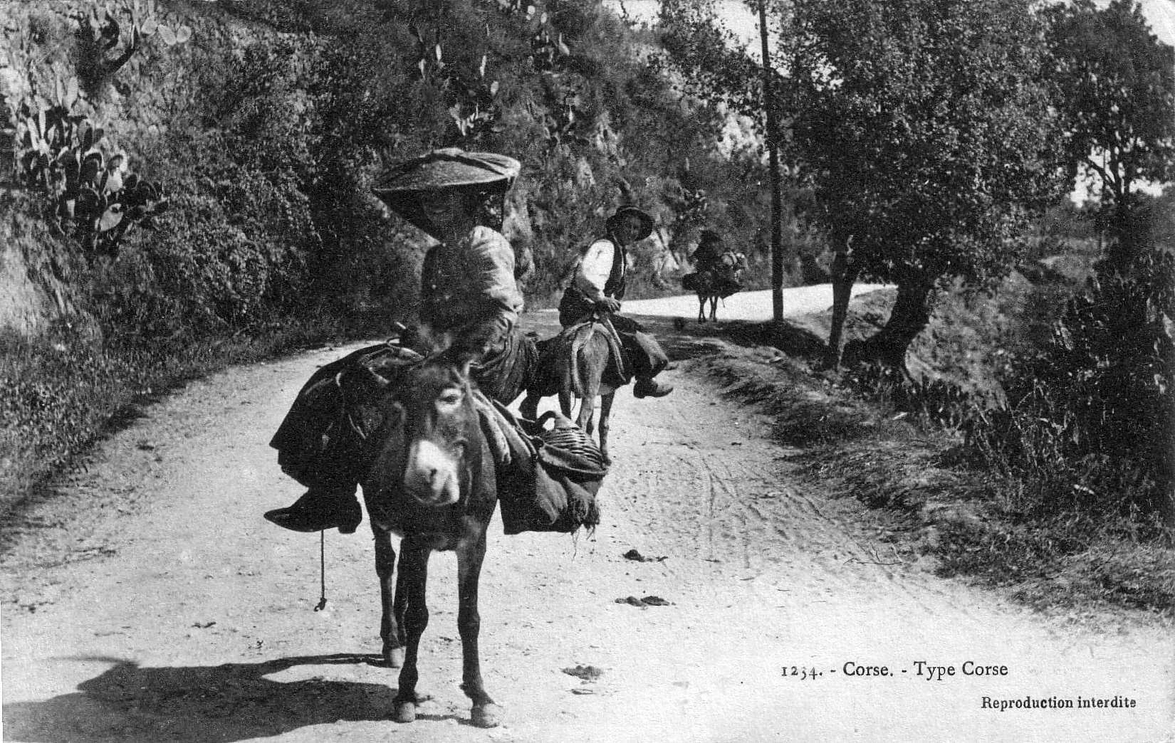 Picture France Corsica Old Postcards 1900-01 278 - Around Old Postcards