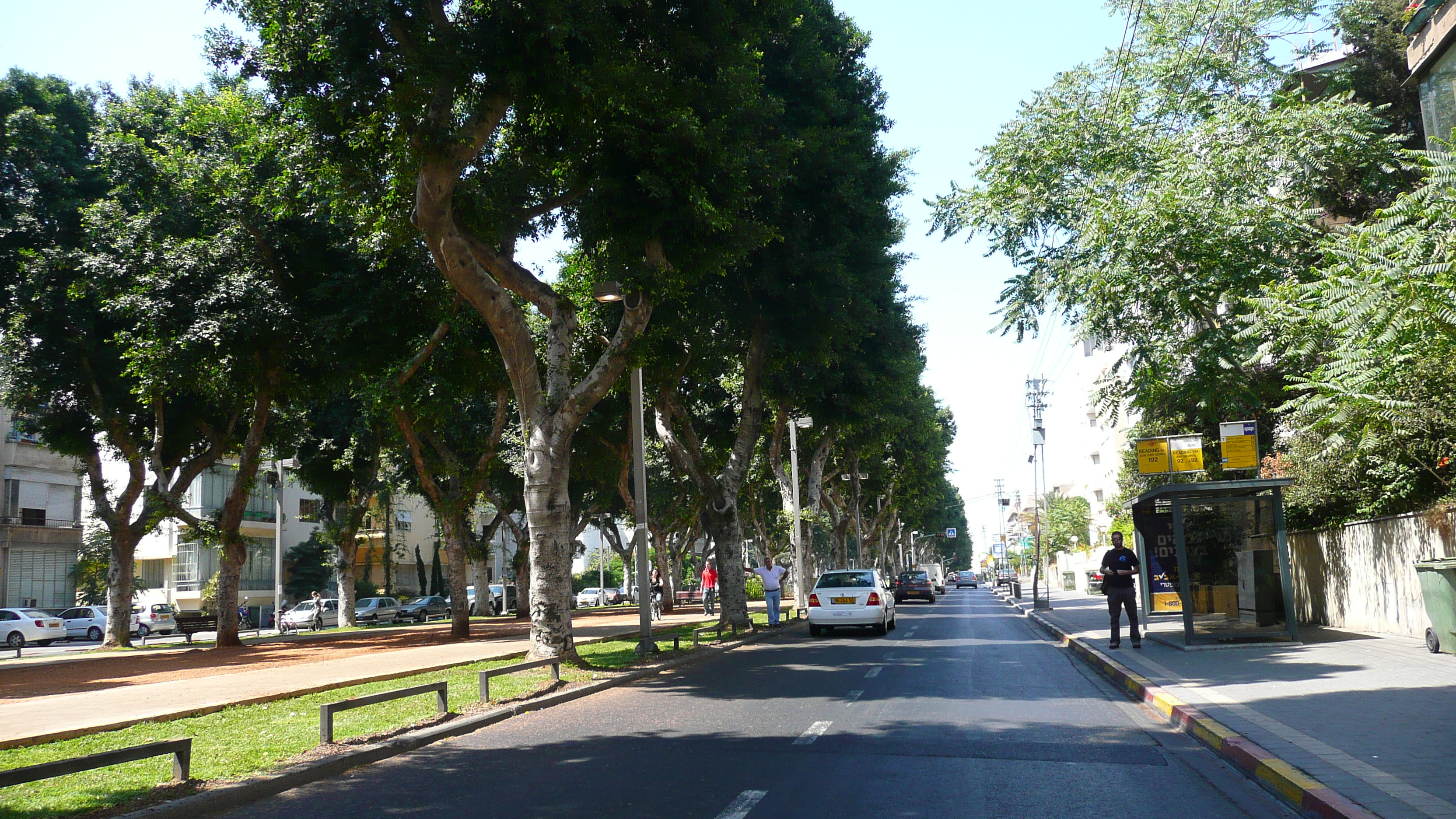 Picture Israel Tel Aviv Rothschild Street 2007-06 37 - Recreation Rothschild Street