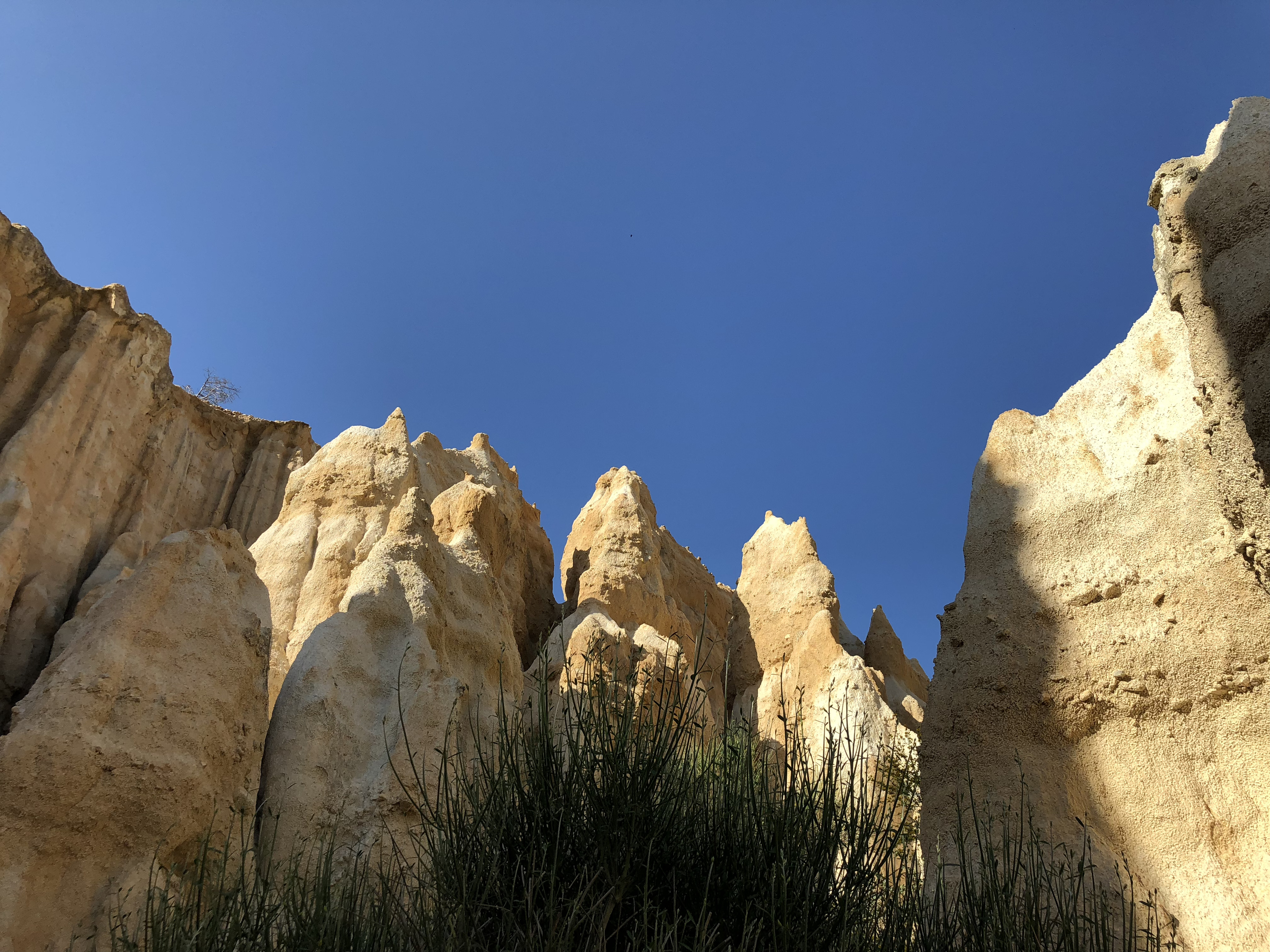 Picture France Orgues d'Ille Sur Tet 2018-04 76 - Around Orgues d'Ille Sur Tet