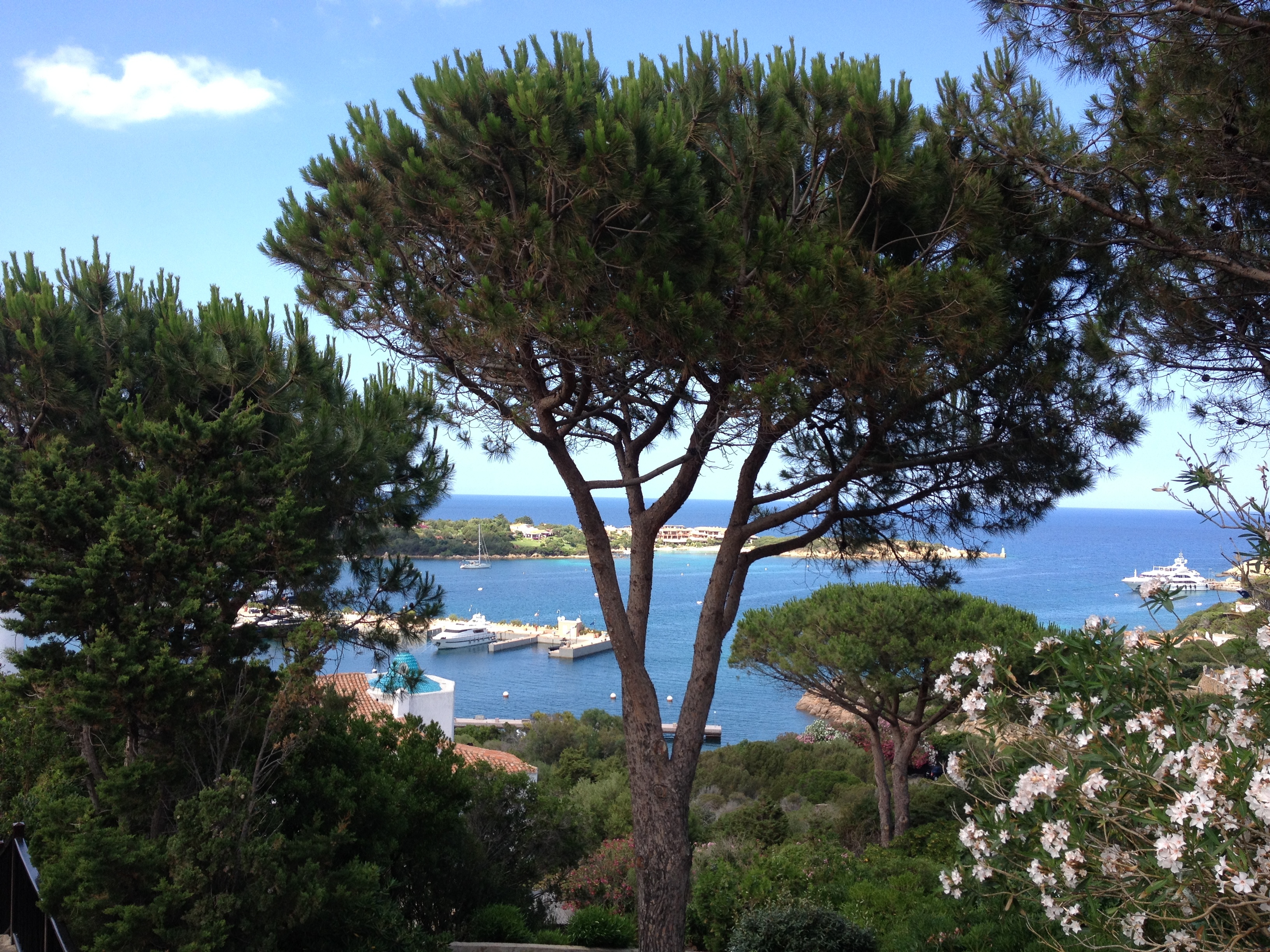 Picture Italy Sardinia Porto Cervo 2015-06 47 - Discovery Porto Cervo