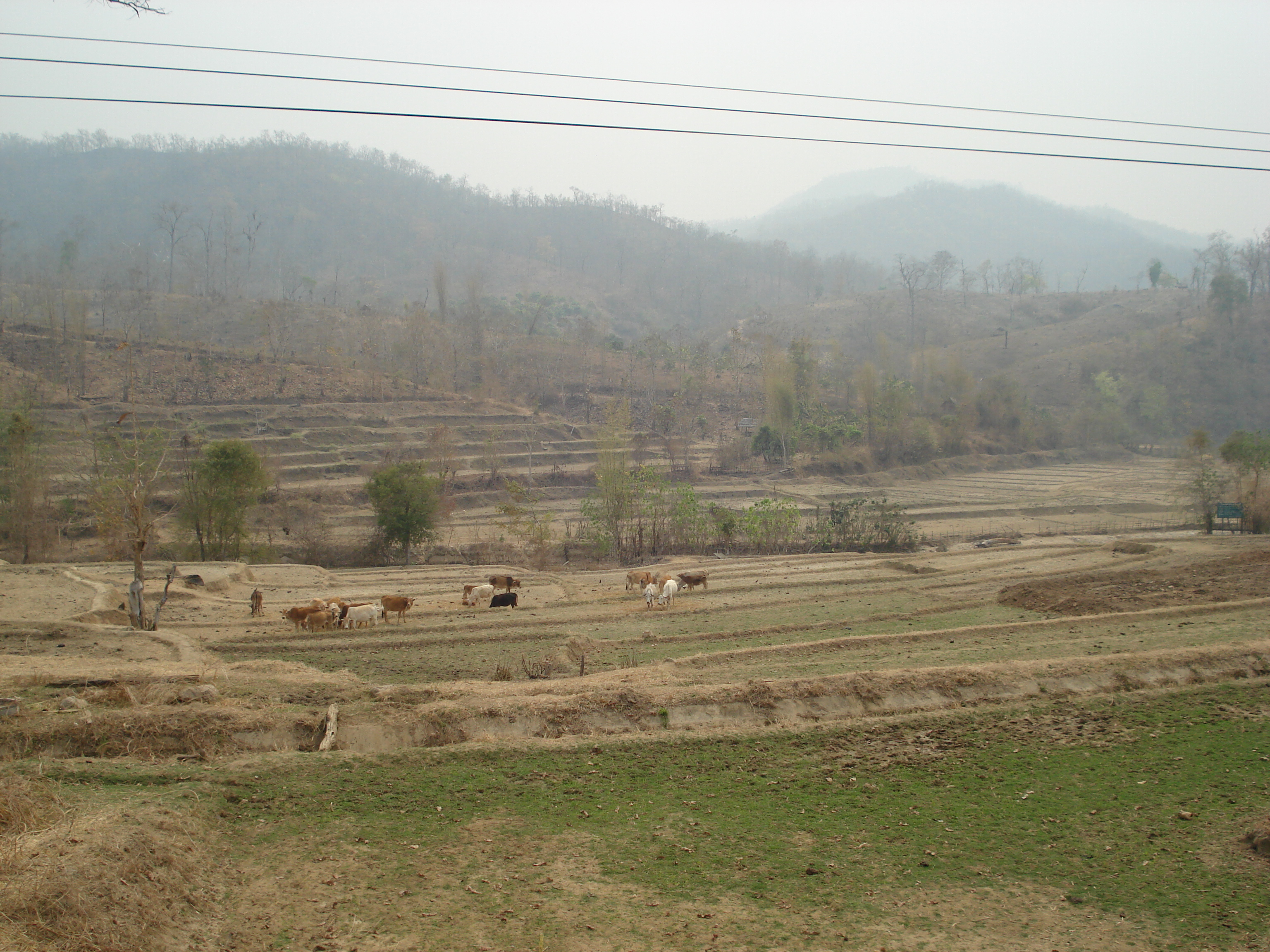 Picture Thailand Chiang Mai to Pai road 2007-02 79 - History Chiang Mai to Pai road