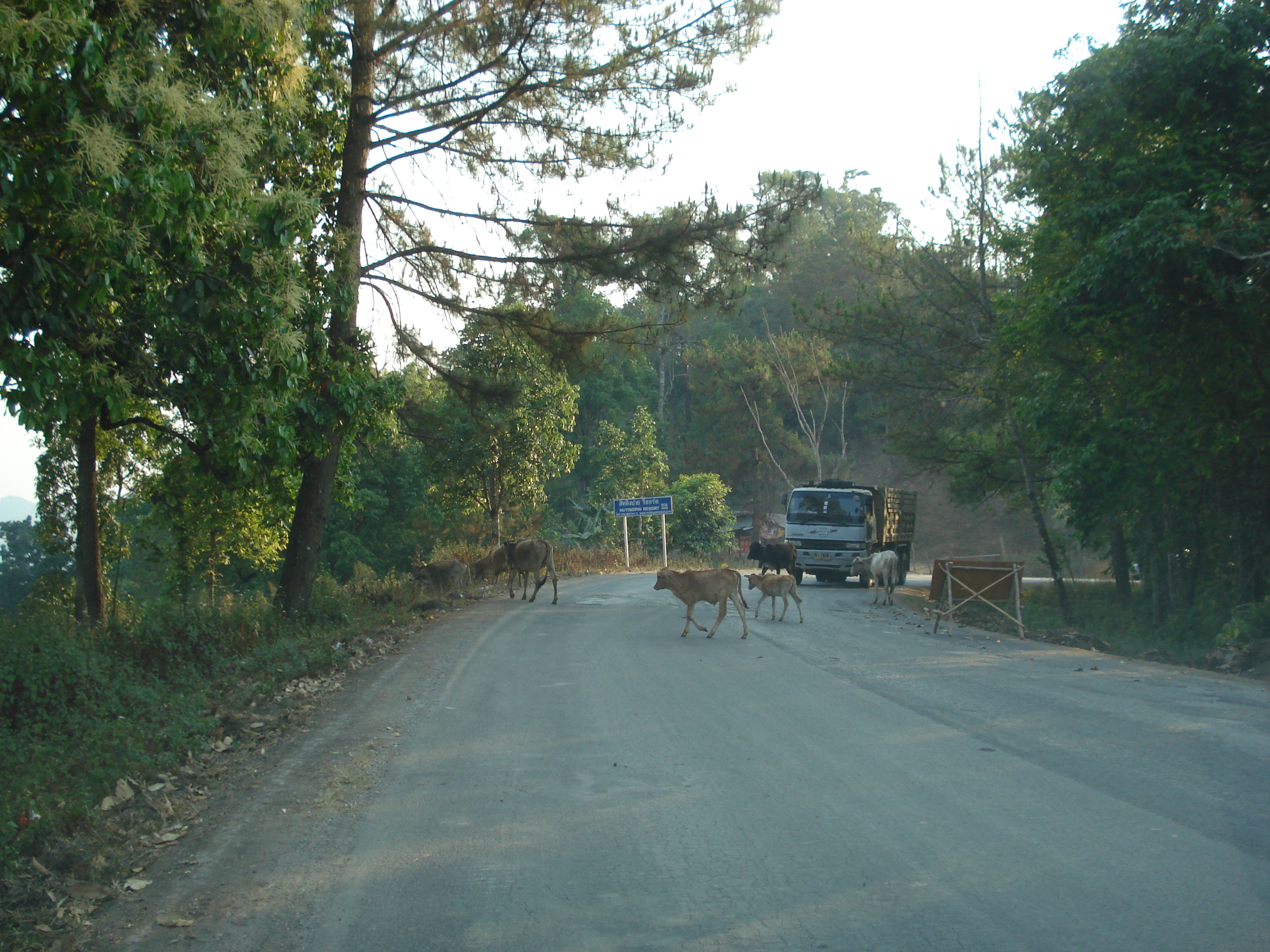 Picture Thailand Chiang Mai to Pai road 2007-02 136 - Discovery Chiang Mai to Pai road