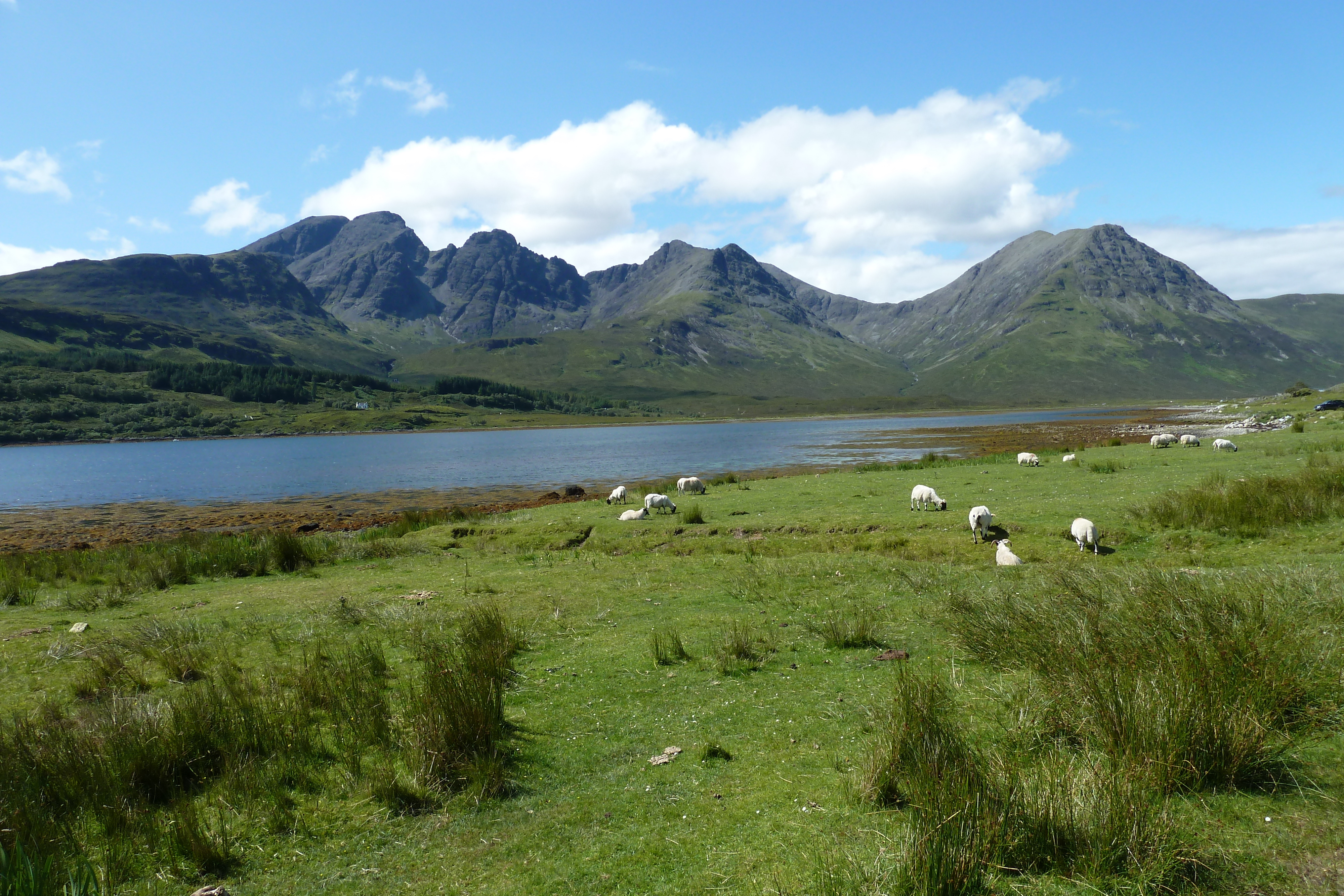 Picture United Kingdom Skye The Cullins 2011-07 166 - Center The Cullins