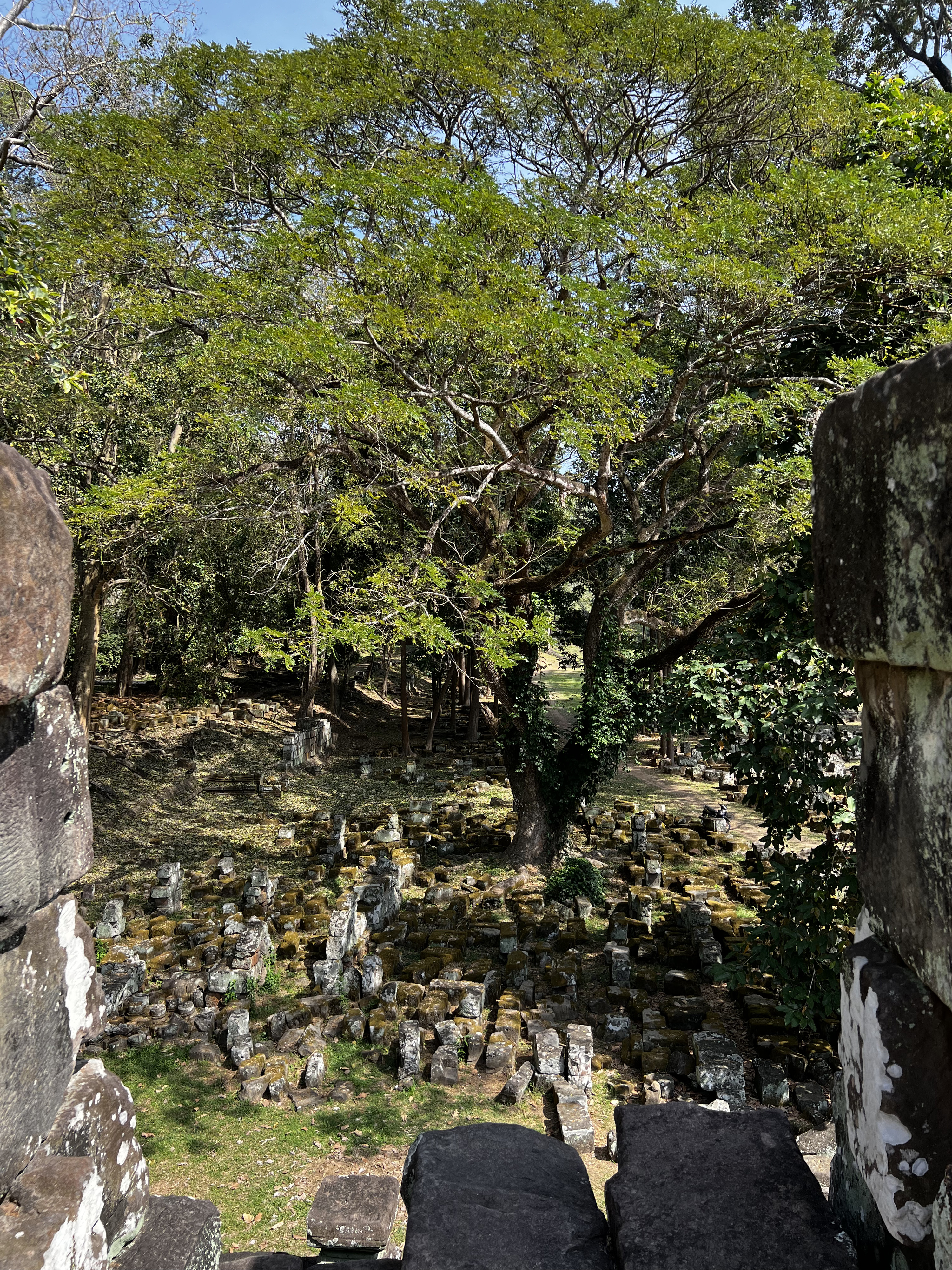 Picture Cambodia Siem Reap Baphuon 2023-01 13 - Recreation Baphuon