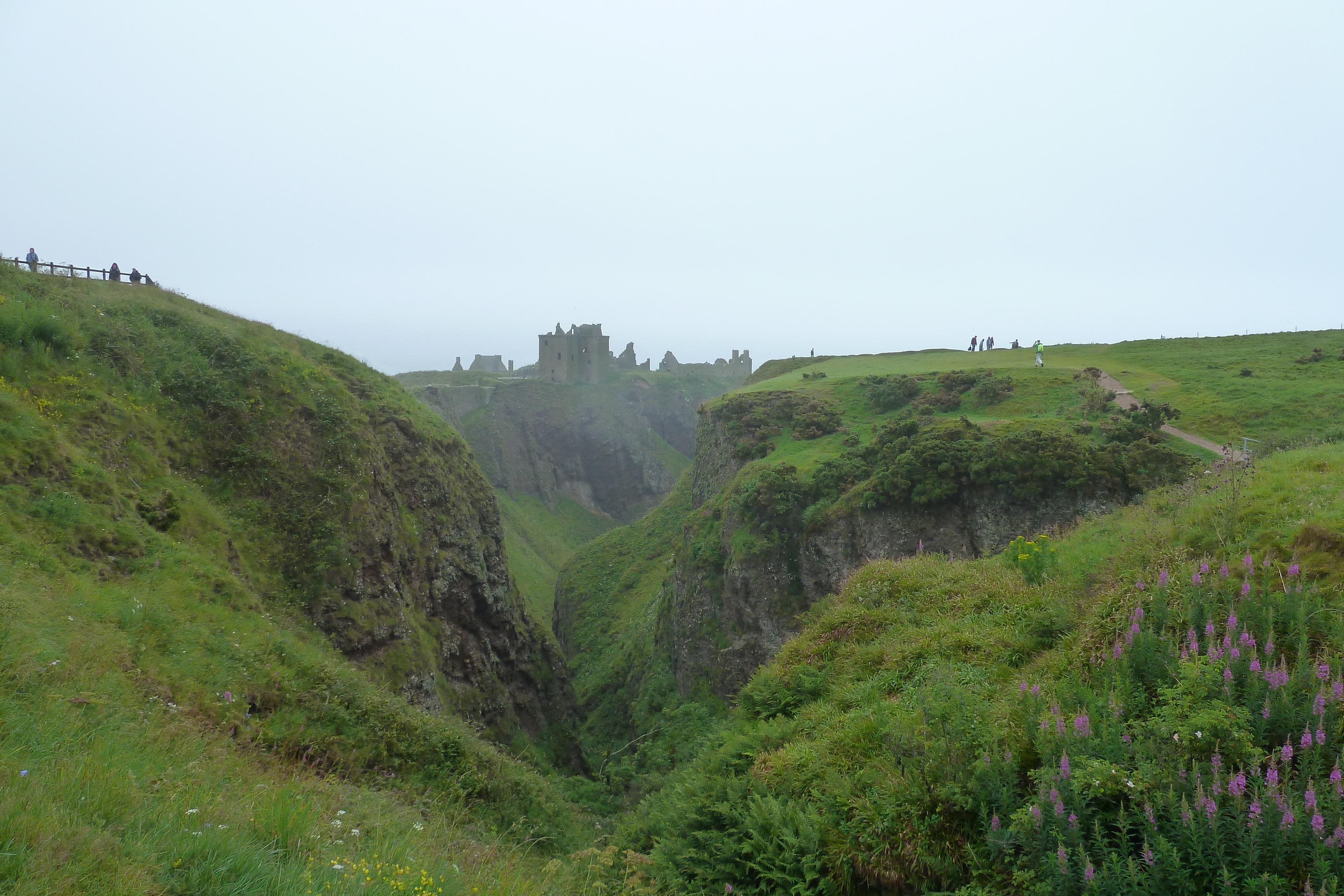 Picture United Kingdom Scotland Dunottar Castle 2011-07 18 - Around Dunottar Castle