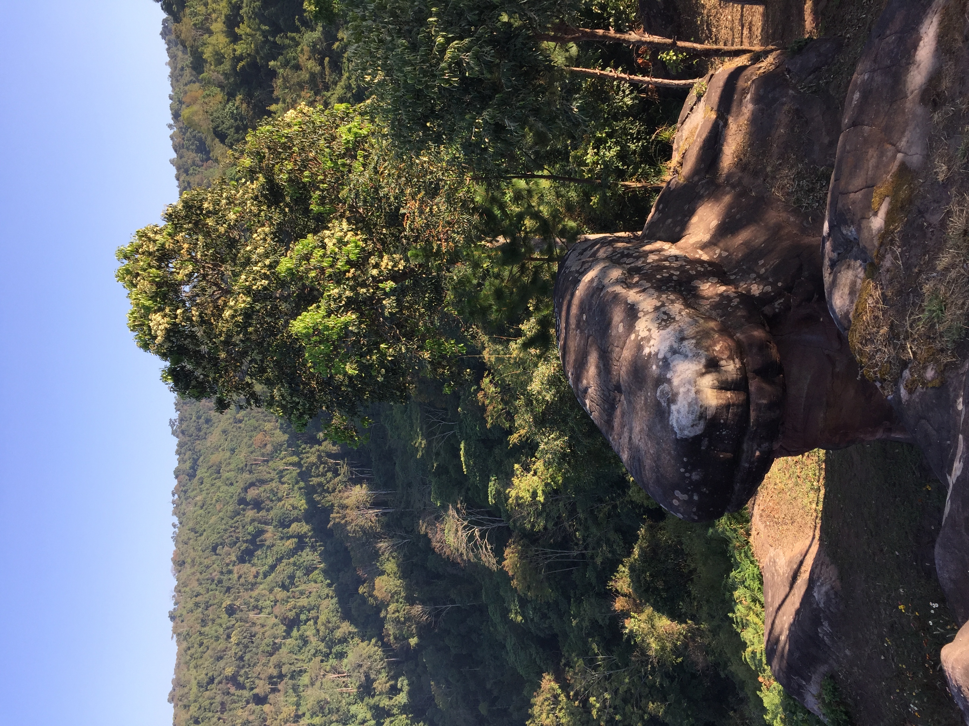 Picture Thailand Phu Hin Rong Kla National Park 2014-12 139 - Around Phu Hin Rong Kla National Park