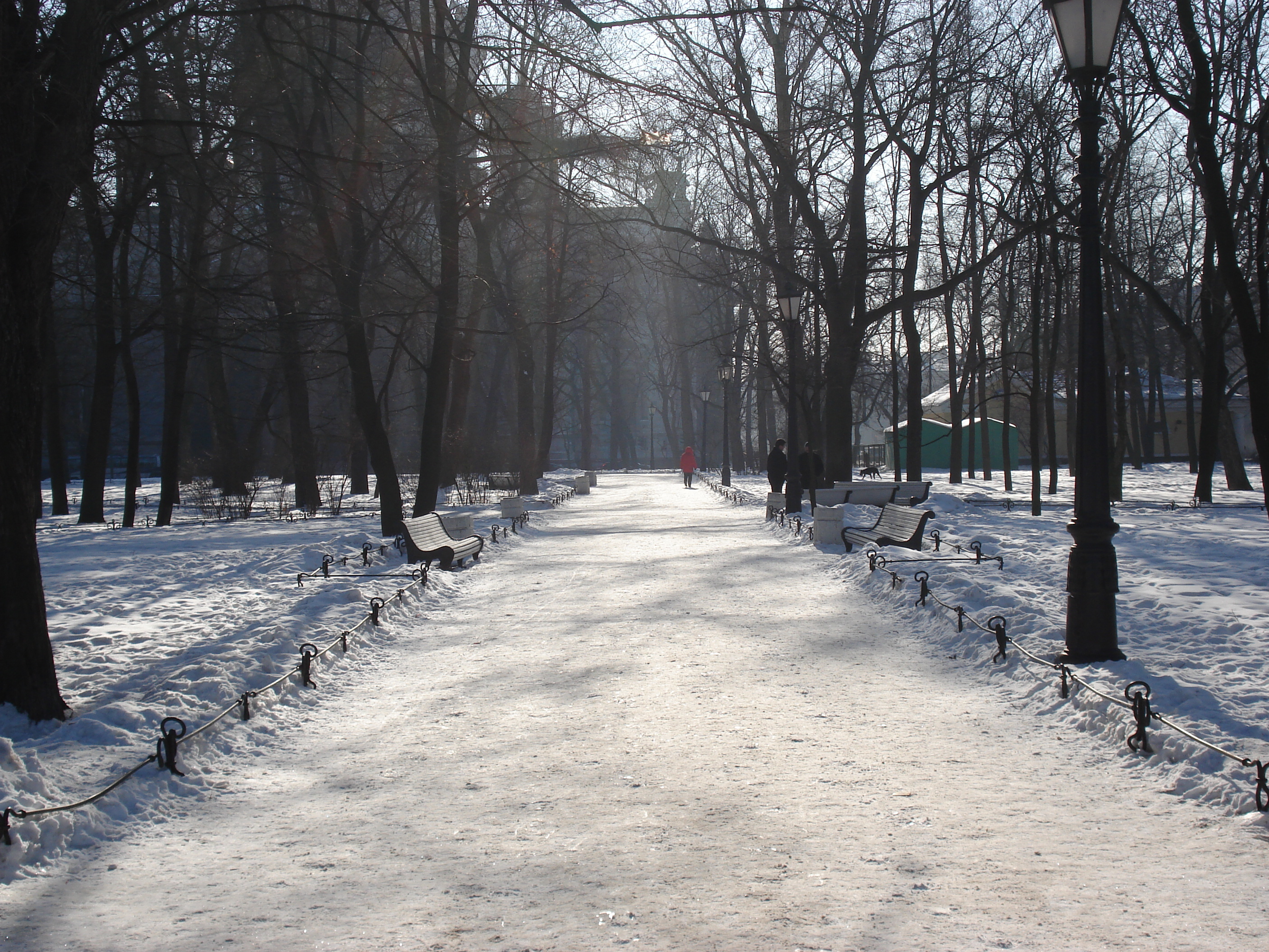 Picture Russia St Petersburg Alexandrovsky Garden 2006-03 16 - Center Alexandrovsky Garden