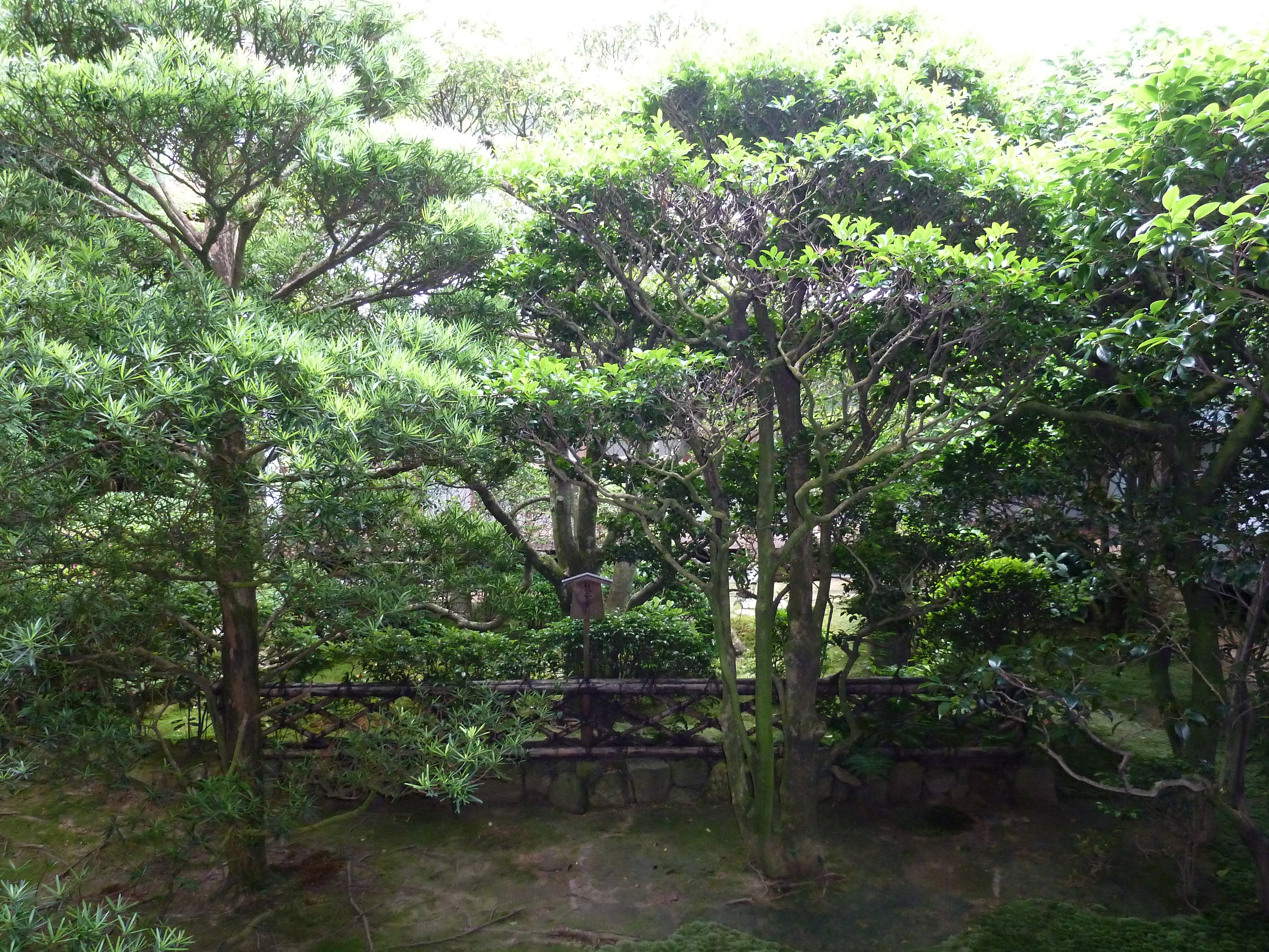 Picture Japan Kyoto Ryoanji Temple 2010-06 19 - Discovery Ryoanji Temple