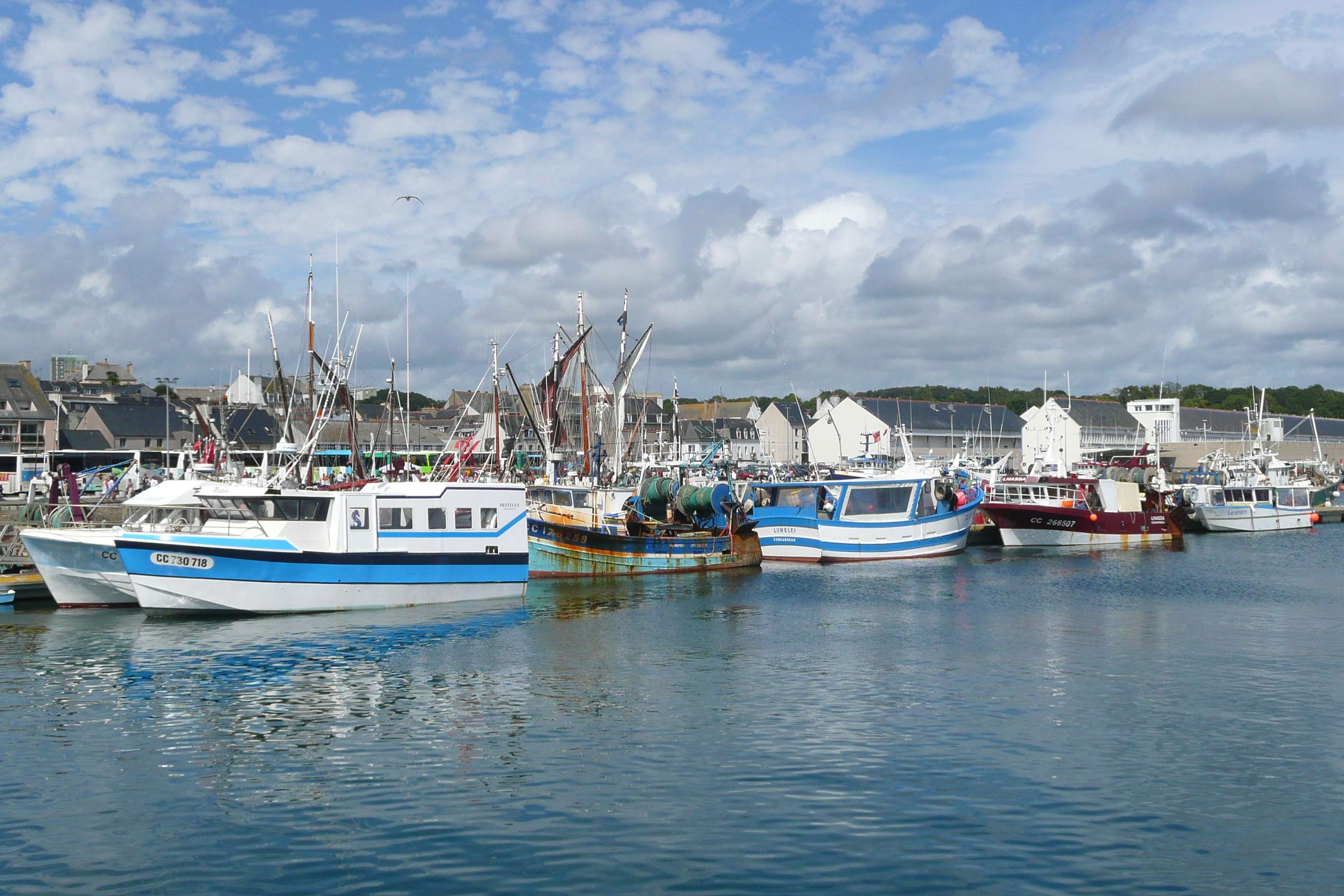 Picture France Concarneau 2008-07 14 - Tours Concarneau