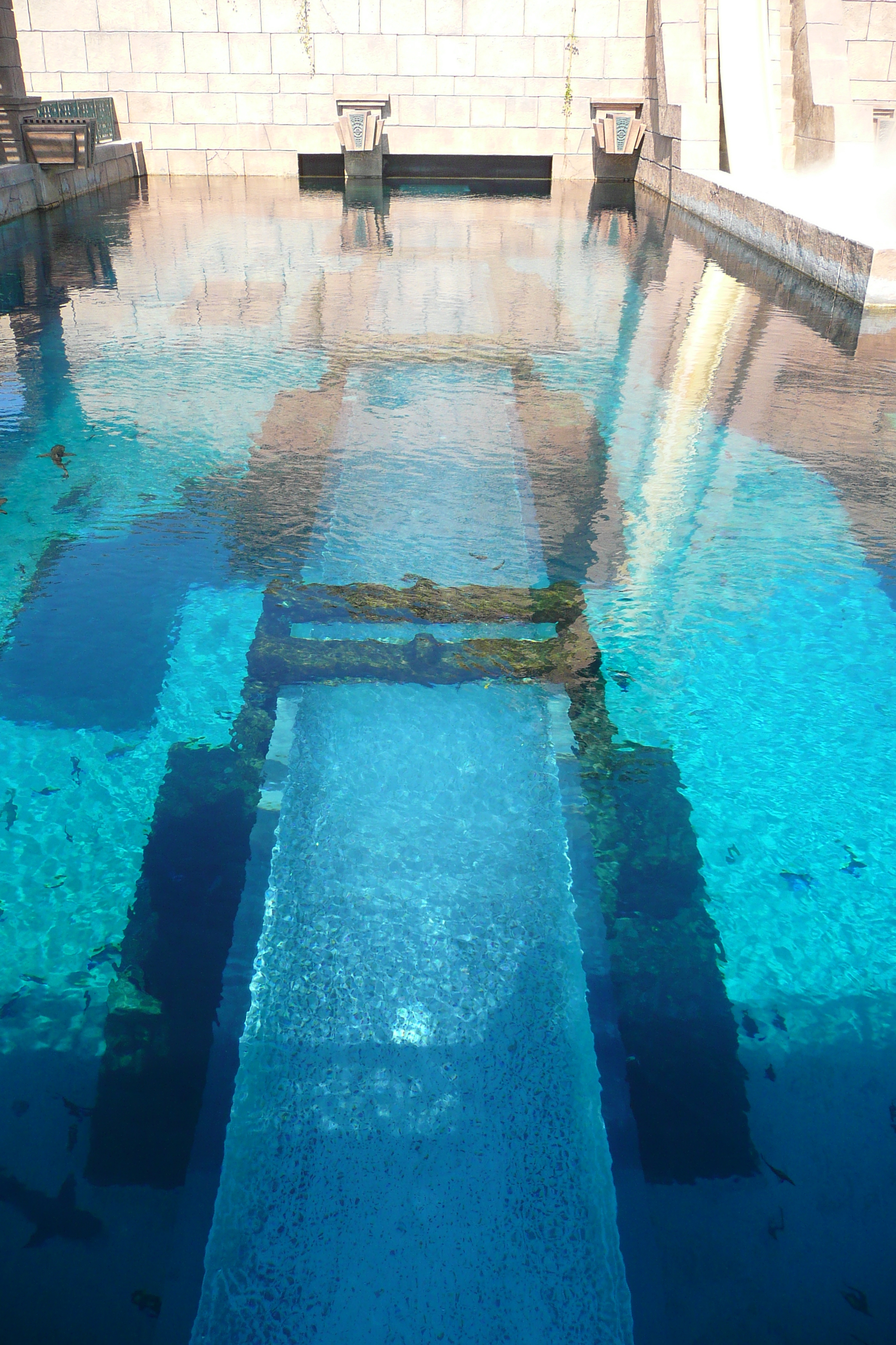 Picture United Arab Emirates Dubai Dubai Aquaventure 2009-01 4 - Recreation Dubai Aquaventure