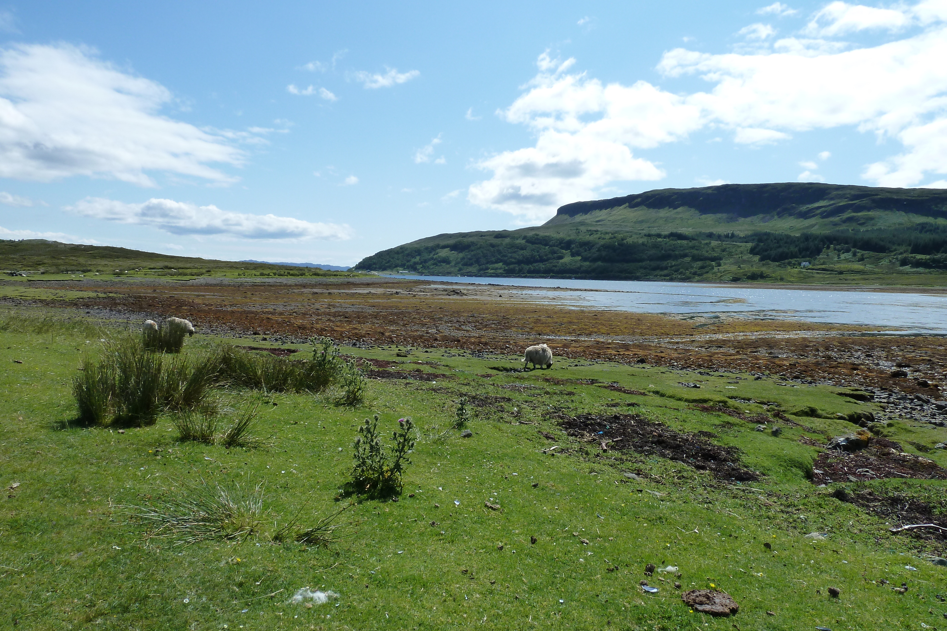 Picture United Kingdom Skye The Cullins 2011-07 31 - Journey The Cullins