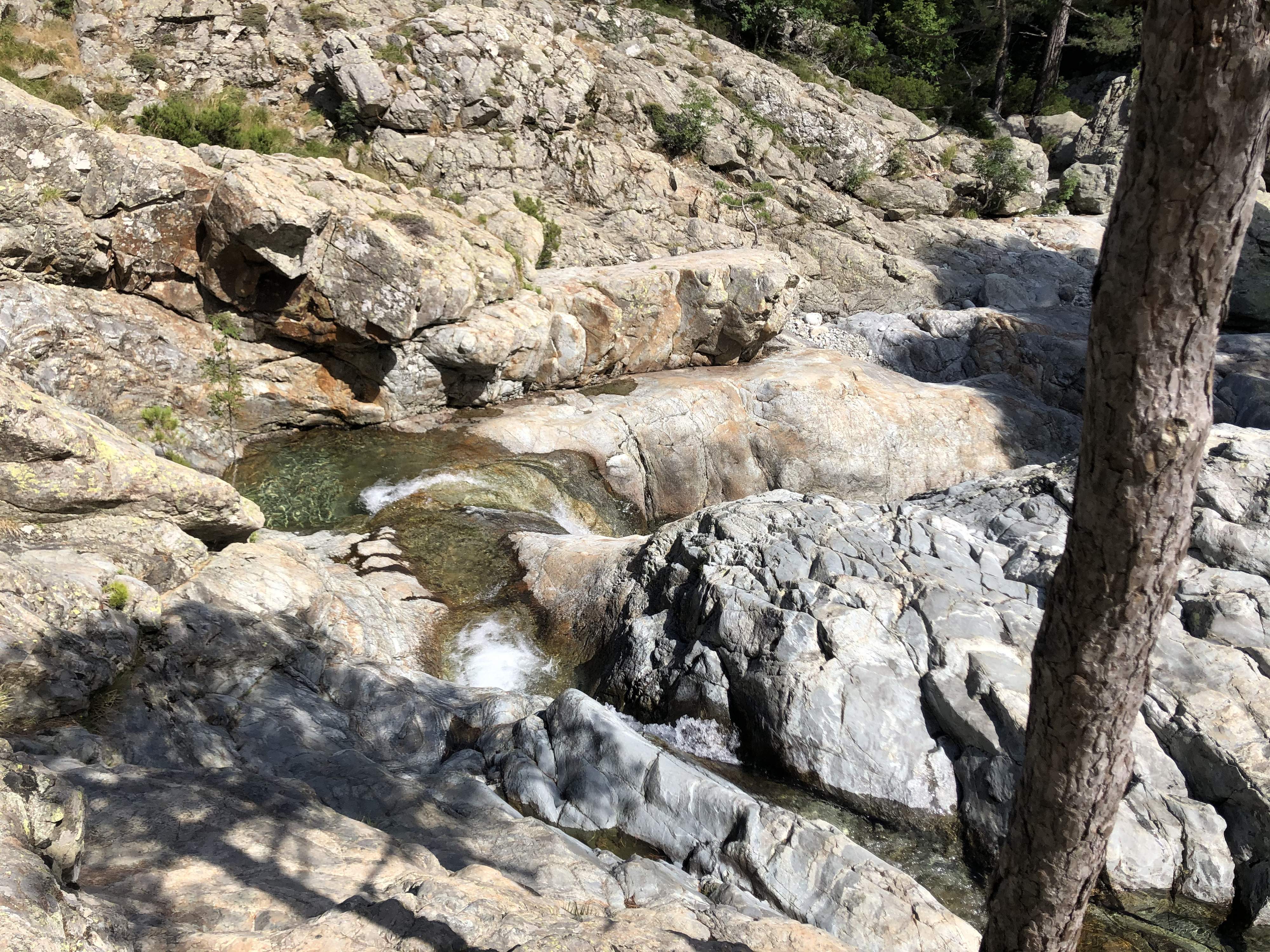 Picture France Corsica Cascade des Anglais 2020-07 41 - Around Cascade des Anglais