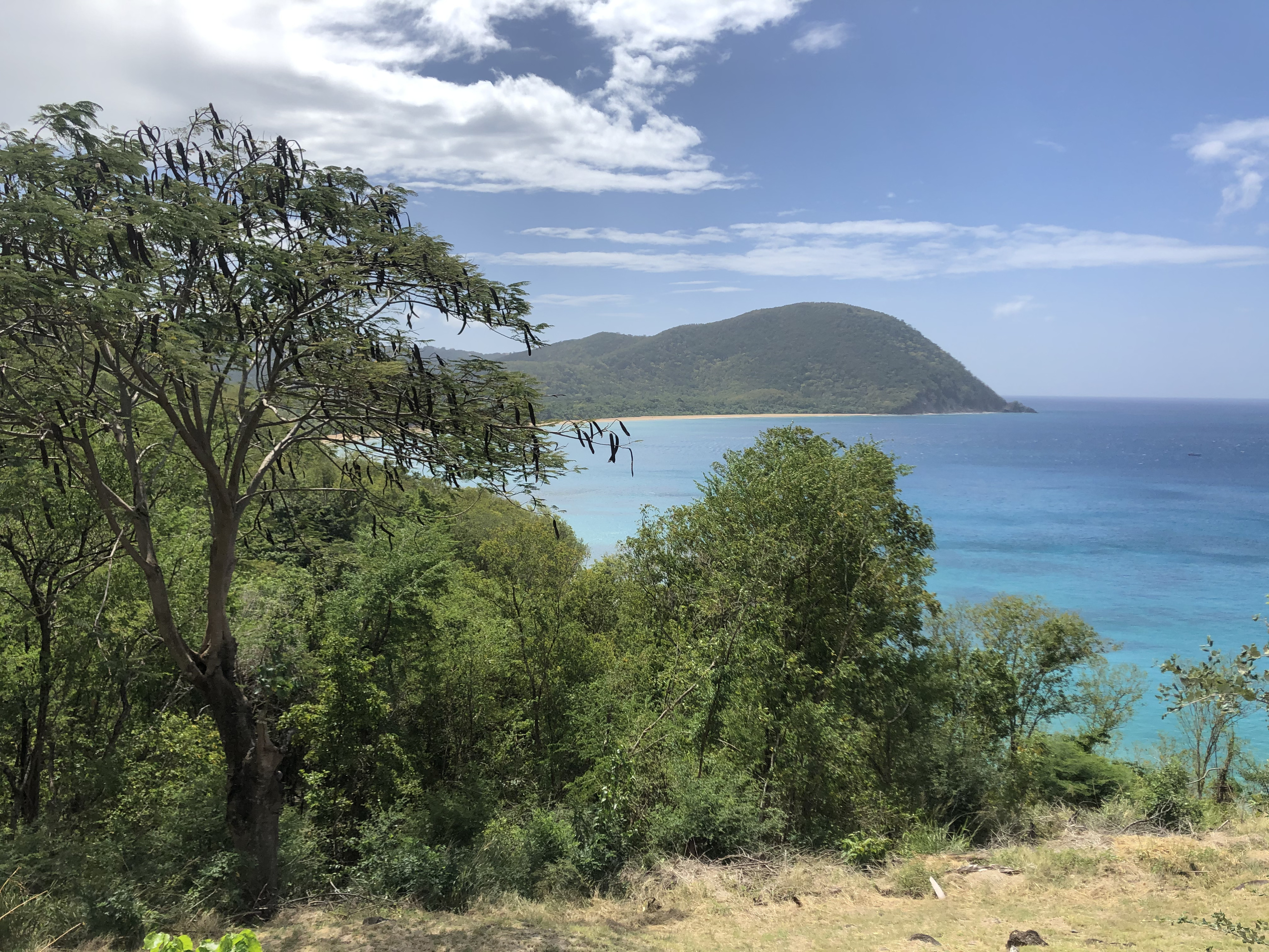 Picture Guadeloupe Grande Hanse Beach 2021-02 16 - Center Grande Hanse Beach