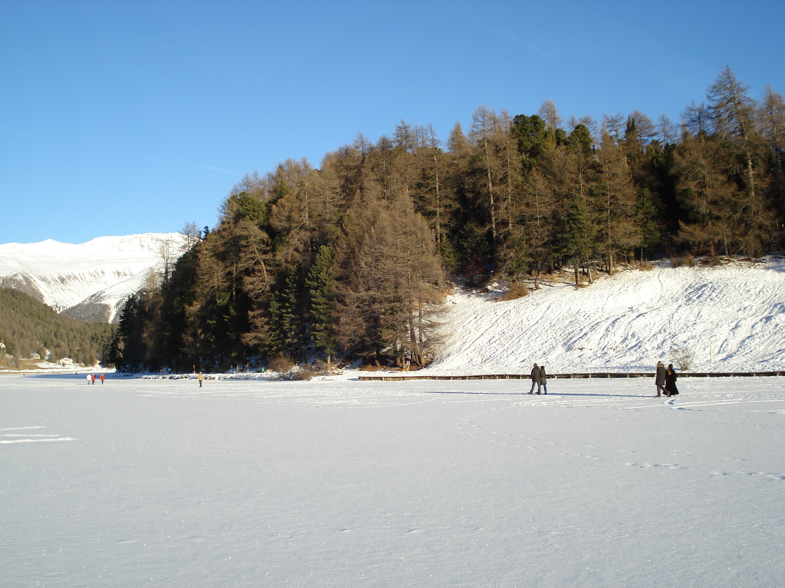 Picture Swiss St Moritz 2007-01 245 - Journey St Moritz