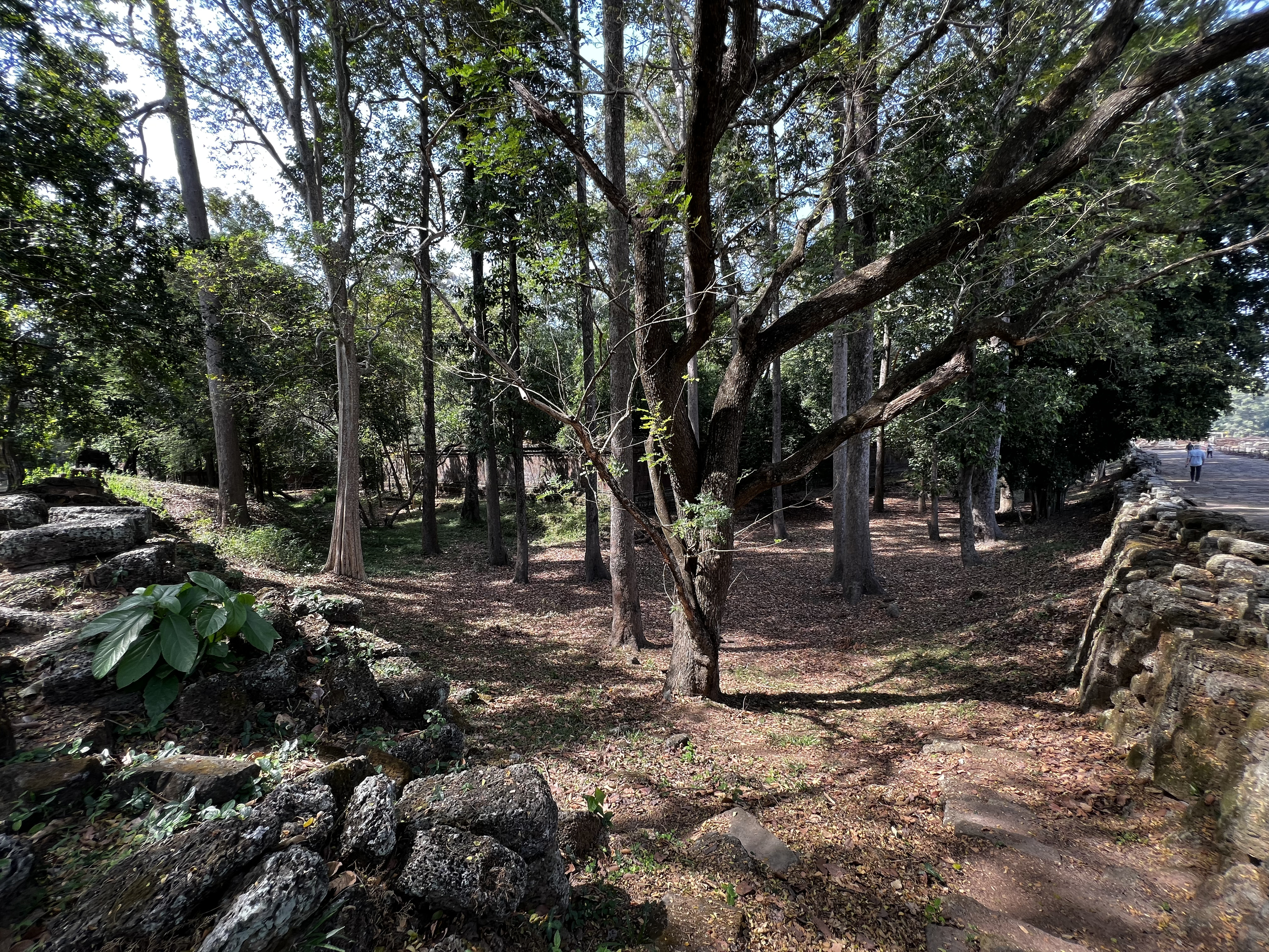 Picture Cambodia Siem Reap Angkor Thom 2023-01 37 - Tour Angkor Thom