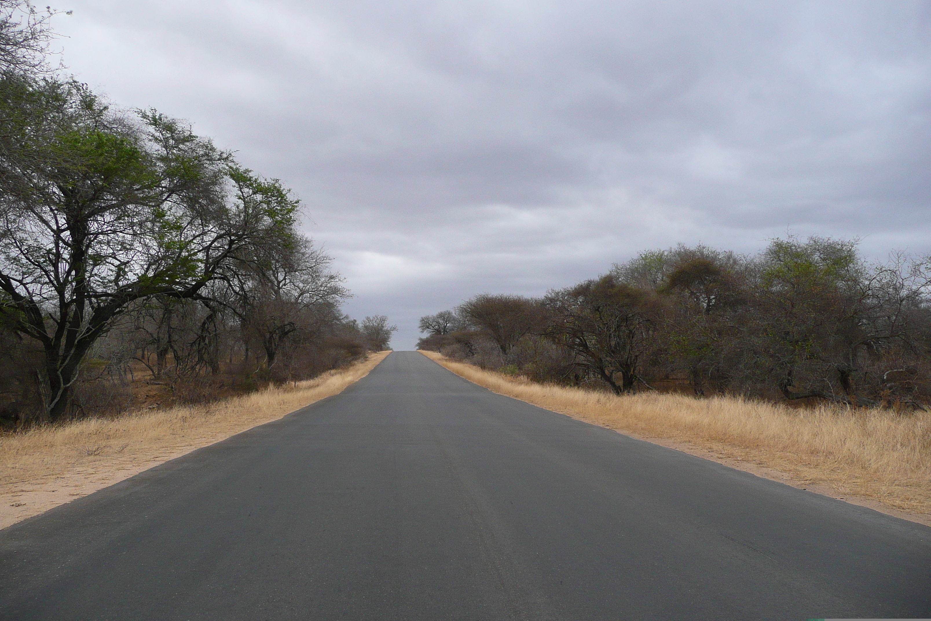 Picture South Africa Kruger National Park Sable River 2008-09 82 - Journey Sable River