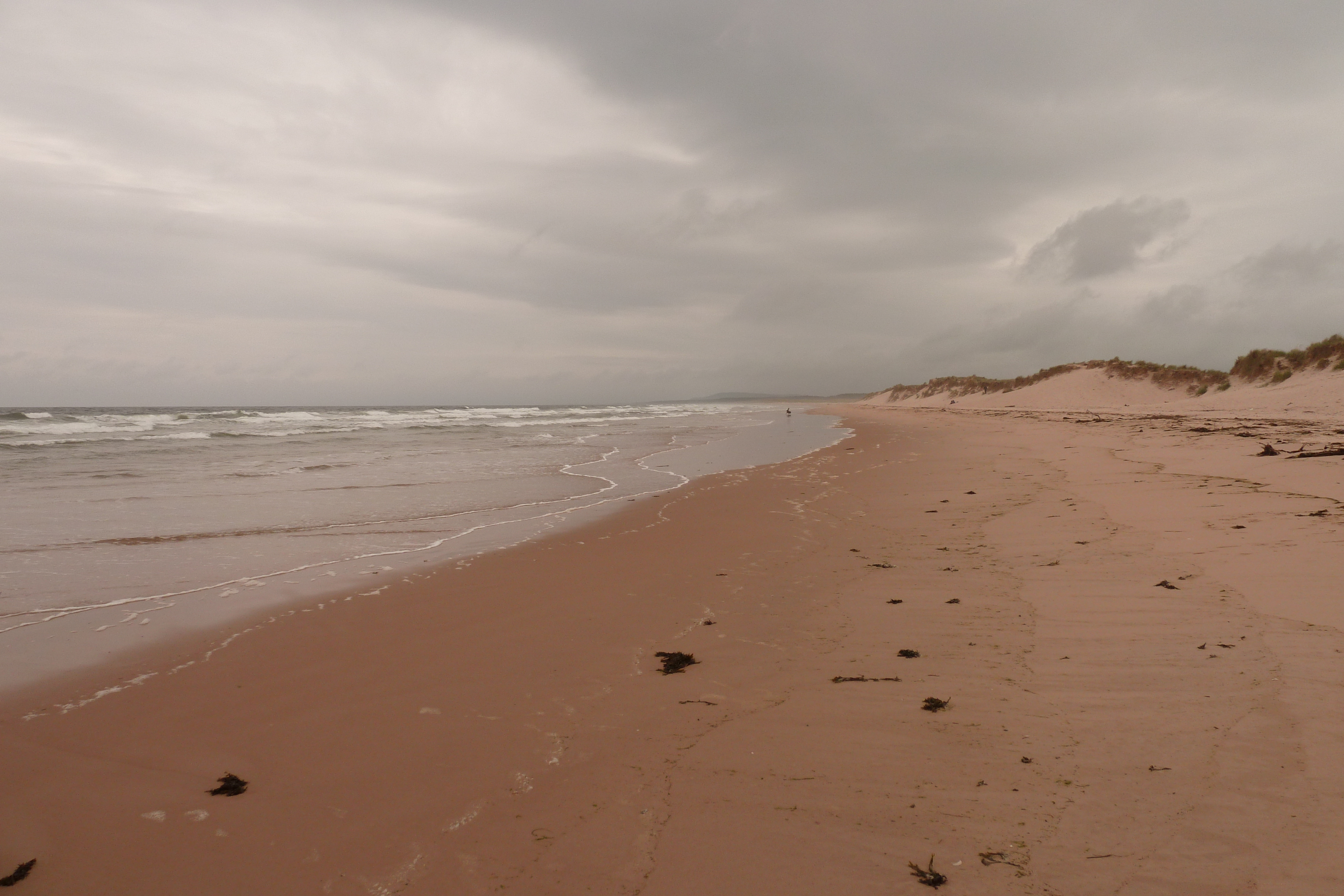 Picture United Kingdom Scotland Lossiemouth 2011-07 2 - Tours Lossiemouth