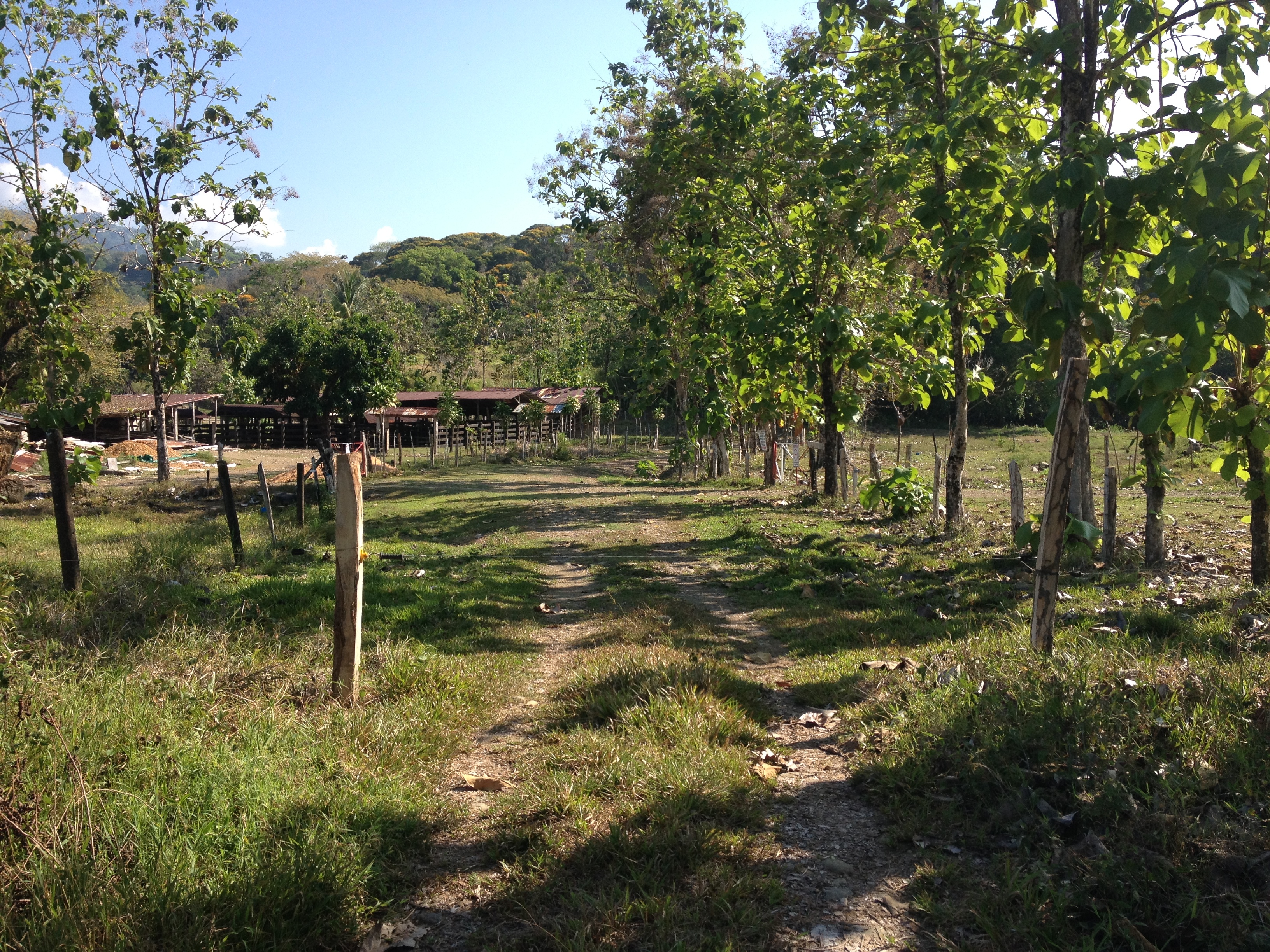 Picture Costa Rica Uvita 2015-03 1 - Journey Uvita