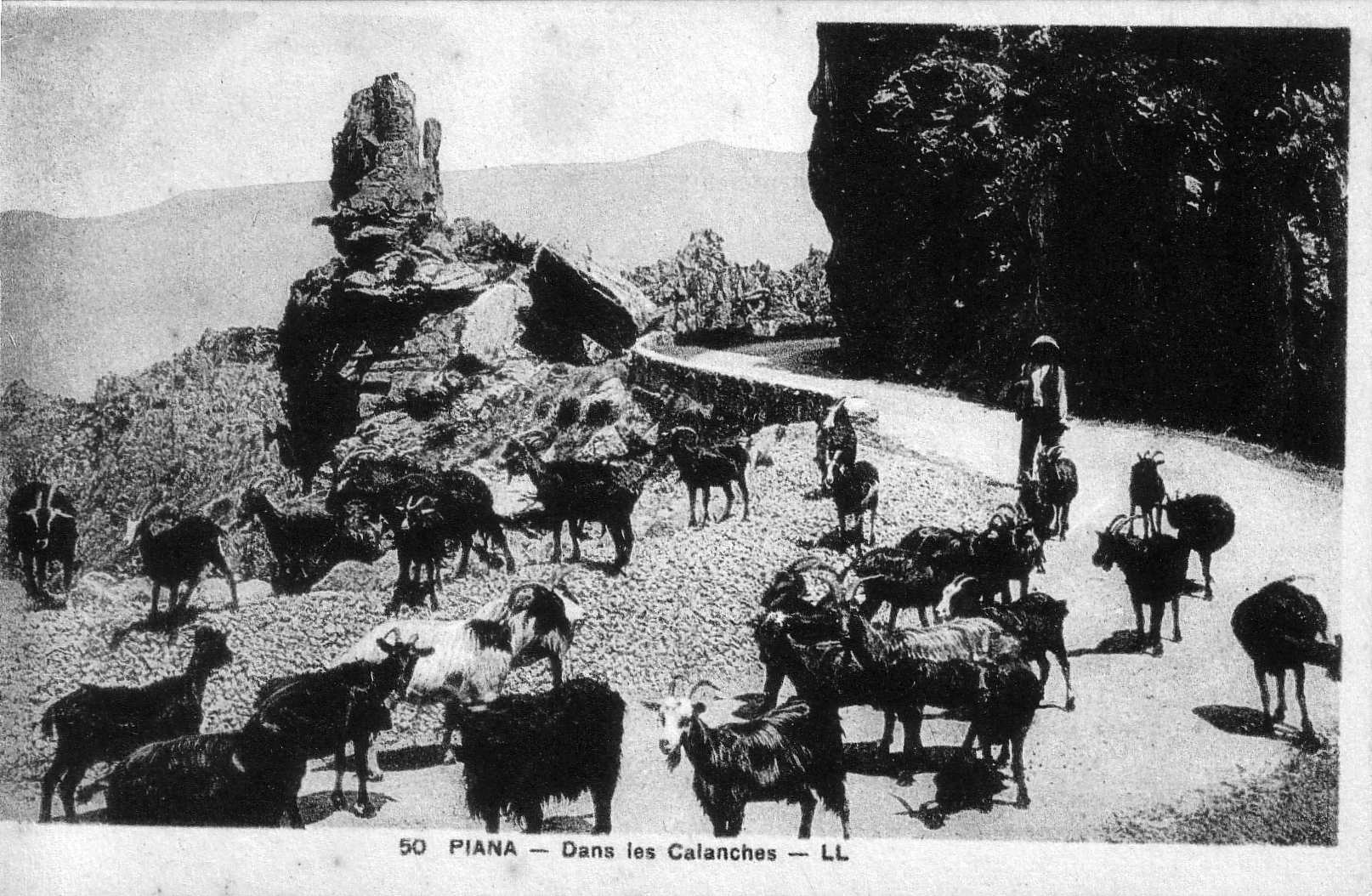 Picture France Corsica Old Postcards 1900-01 175 - Tours Old Postcards