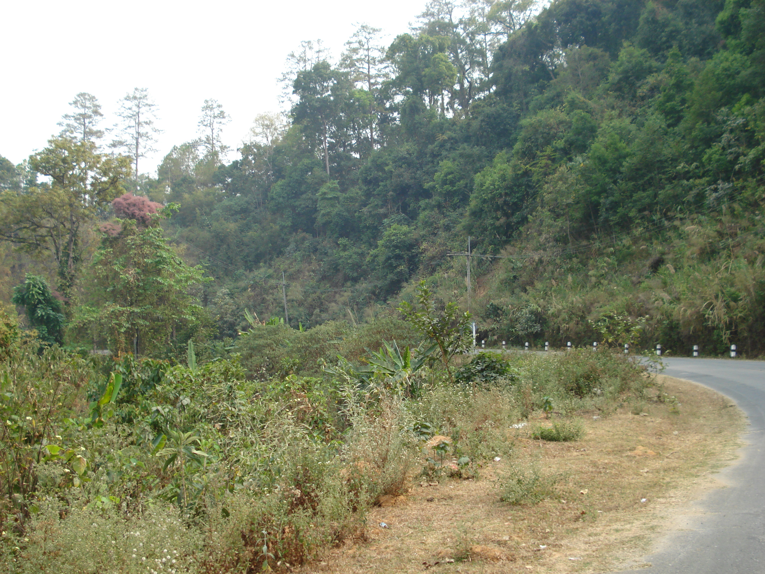 Picture Thailand Chiang Mai to Pai road 2007-02 71 - Tours Chiang Mai to Pai road