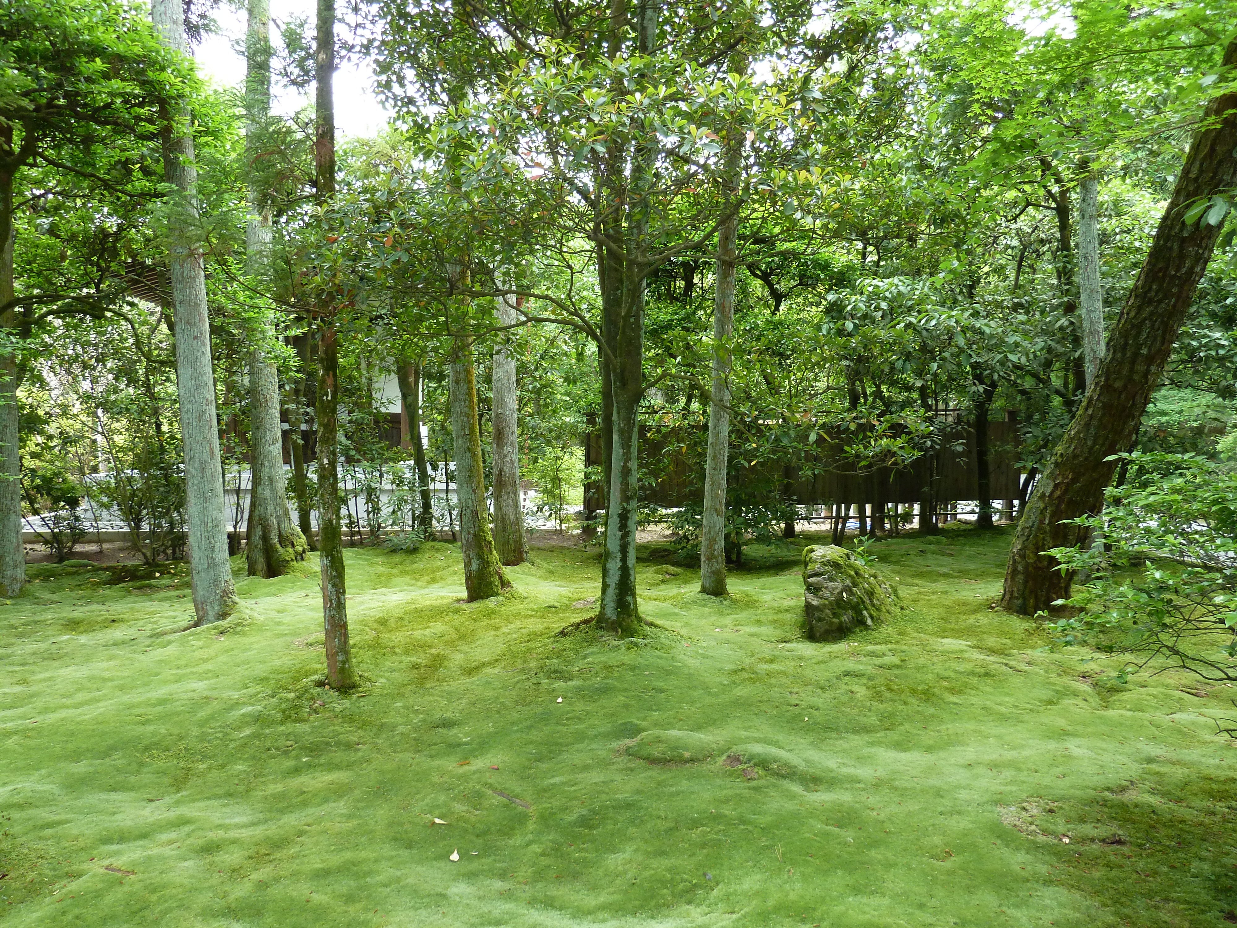 Picture Japan Kyoto Ryoanji Temple 2010-06 9 - Discovery Ryoanji Temple