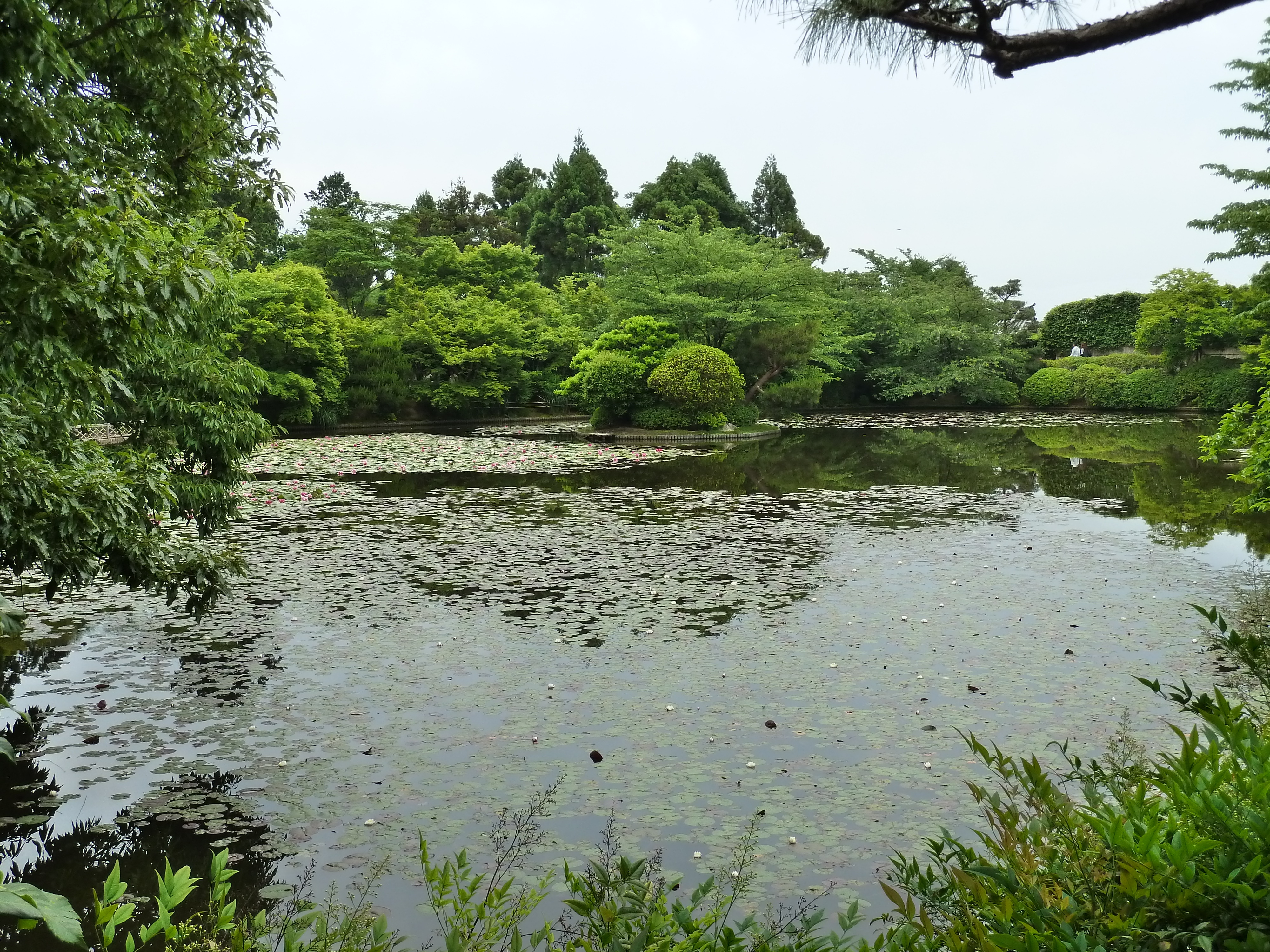 Picture Japan Kyoto Ryoanji Temple 2010-06 2 - Tours Ryoanji Temple