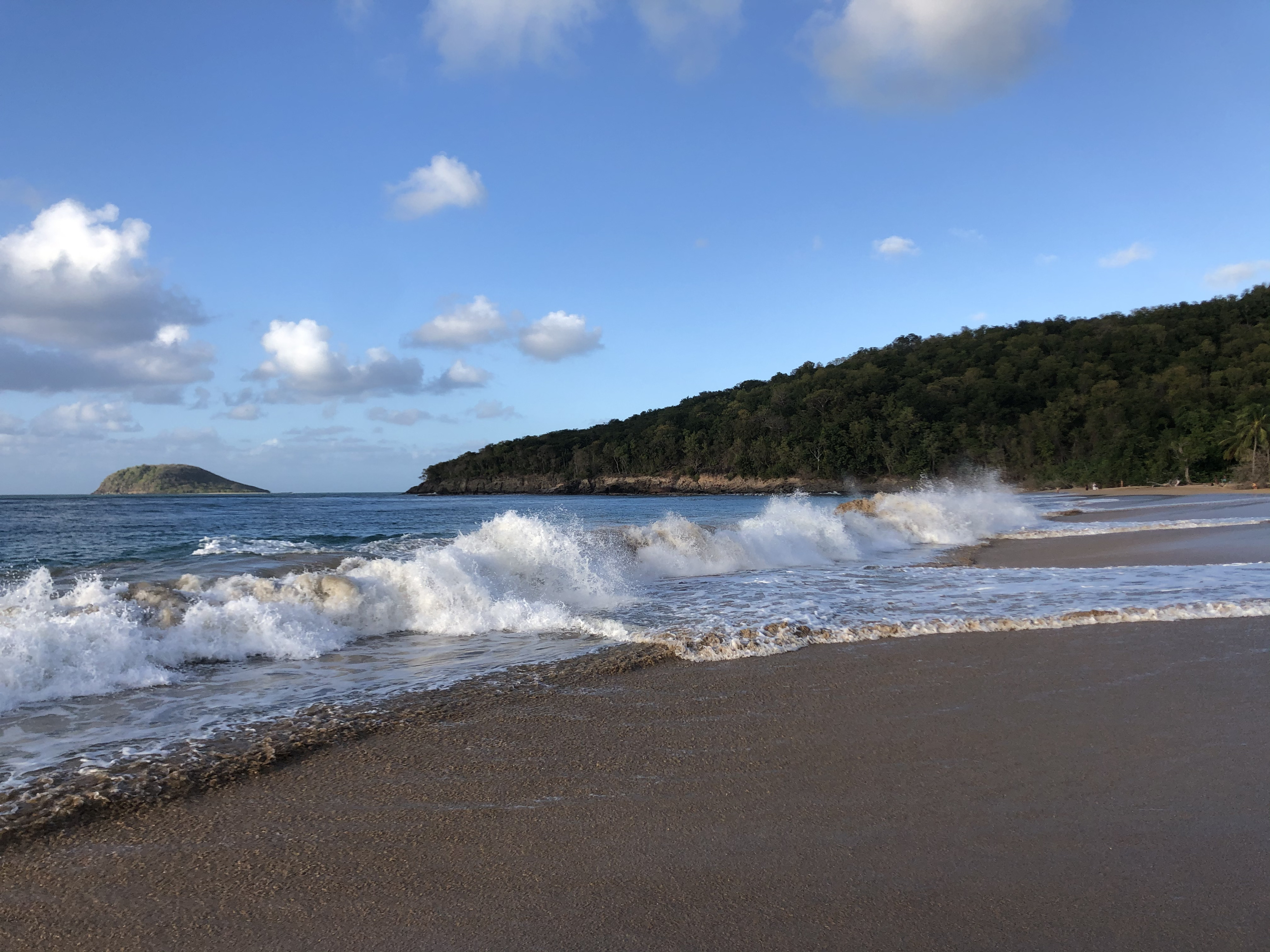 Picture Guadeloupe La Perle Beach 2021-02 50 - Discovery La Perle Beach