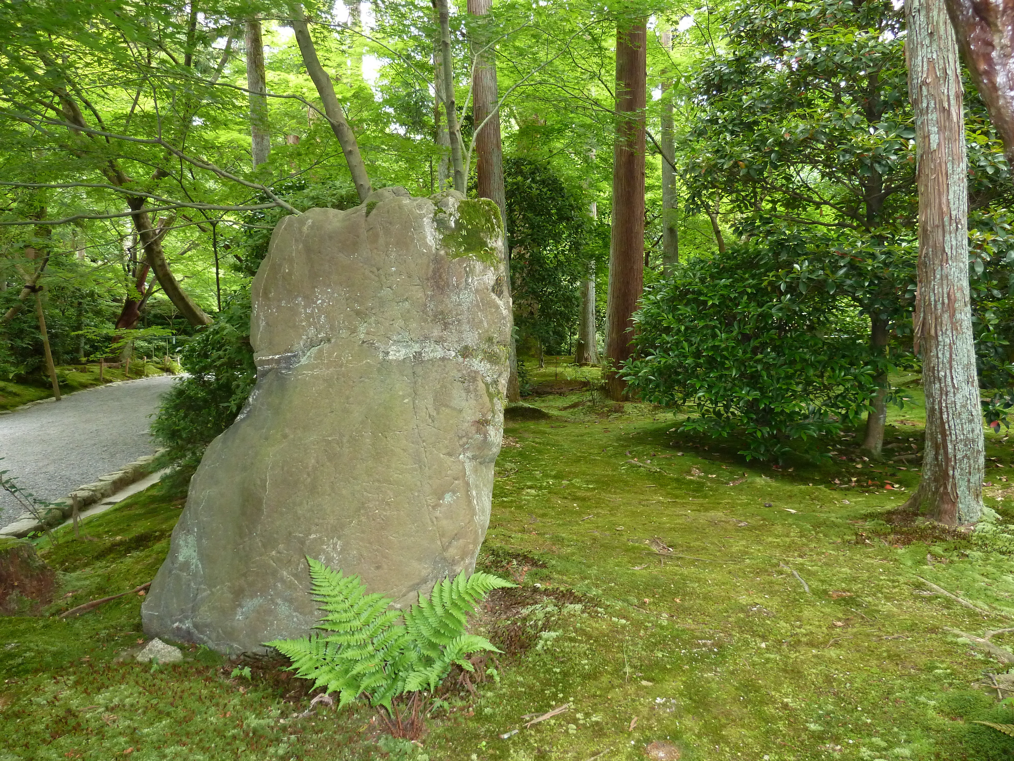 Picture Japan Kyoto Ryoanji Temple 2010-06 90 - Tours Ryoanji Temple