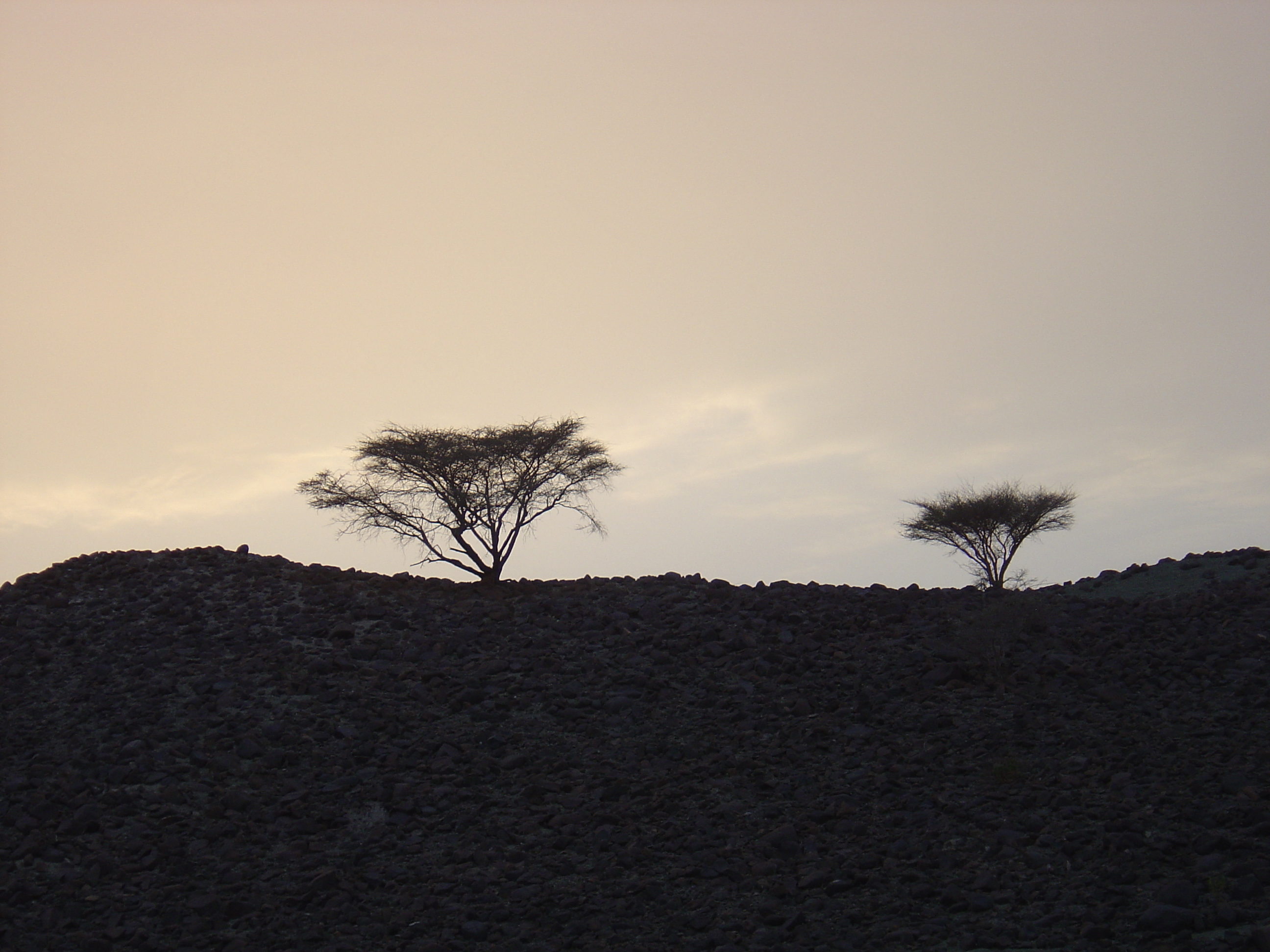 Picture Sultanate of Oman Buraimi to Sohar road 2005-03 0 - History Buraimi to Sohar road