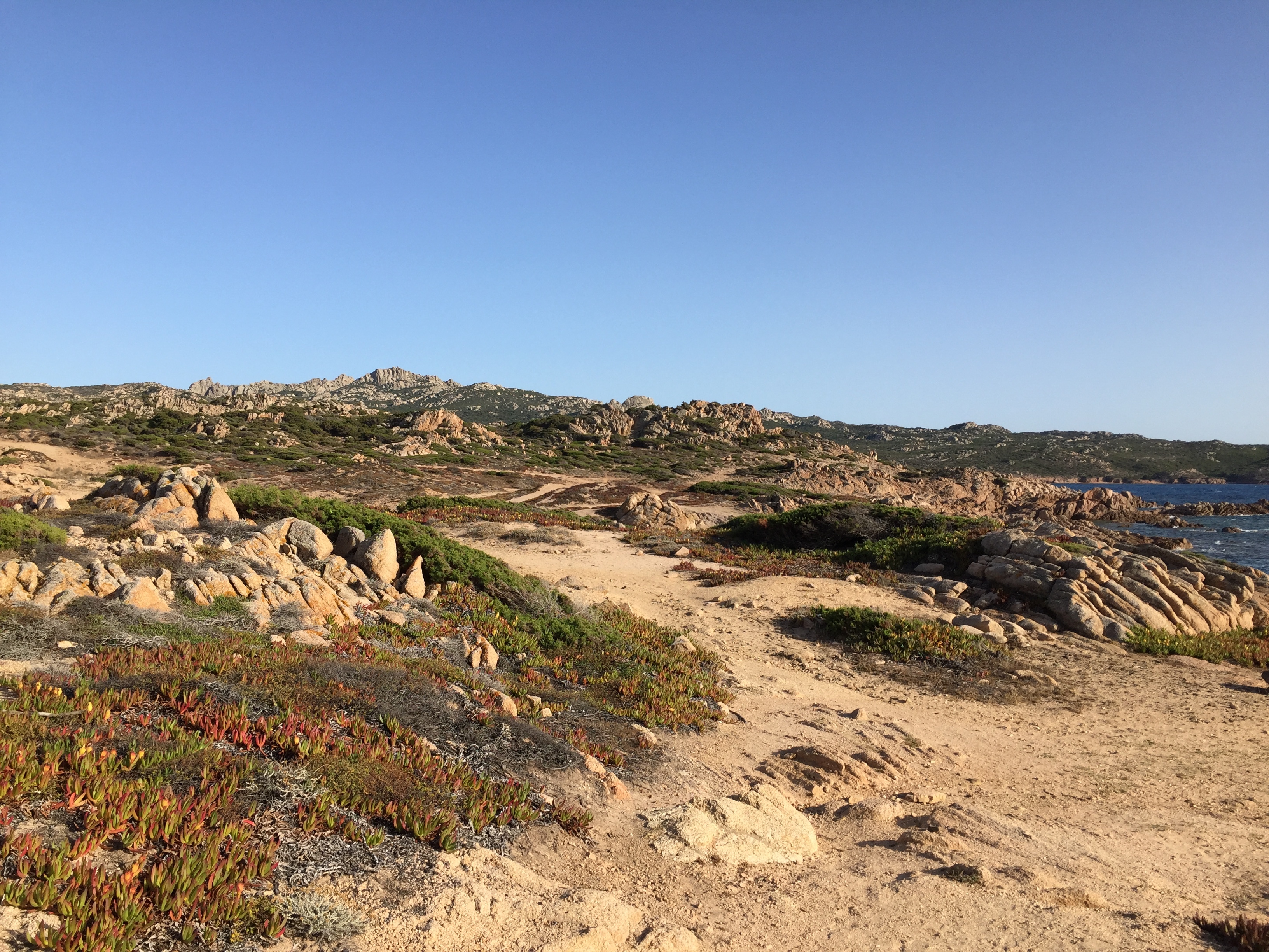 Picture France Corsica Tonnara Beach 2017-07 30 - Center Tonnara Beach