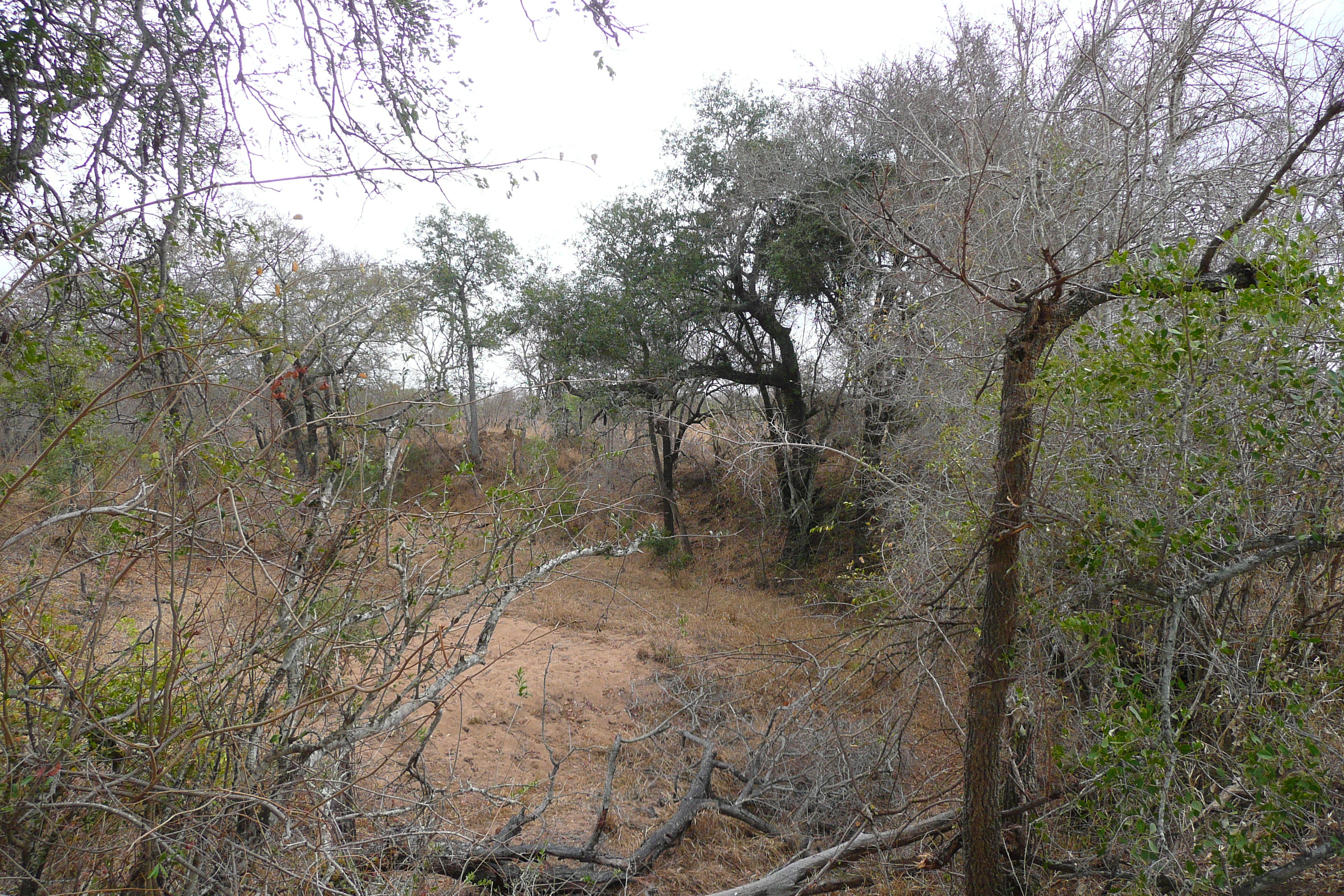 Picture South Africa Kruger National Park 2008-09 143 - History Kruger National Park