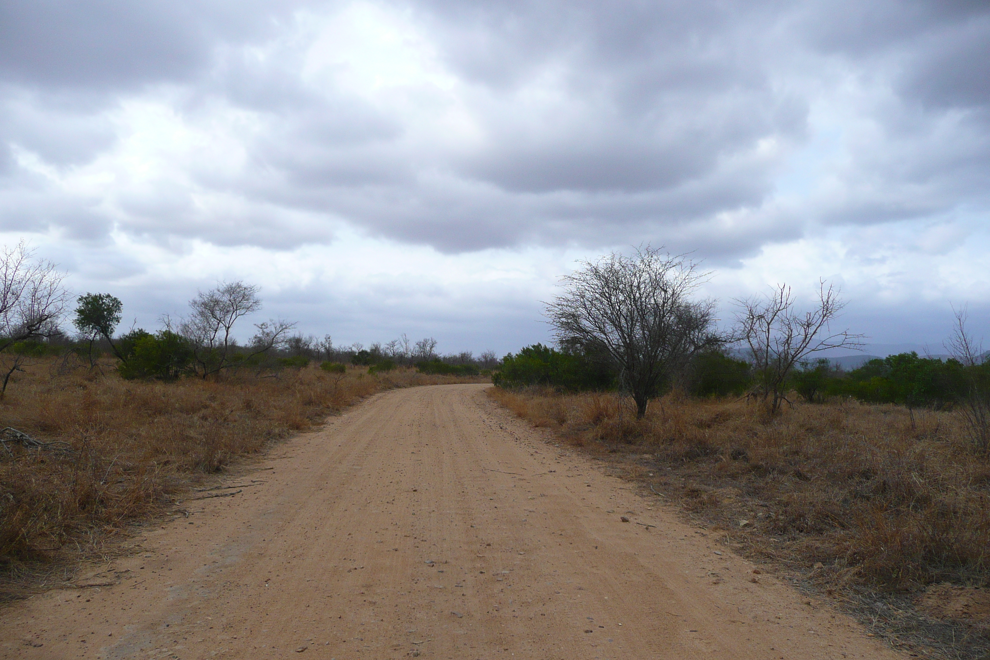 Picture South Africa Kruger National Park Crocodile River road 2008-09 46 - Tours Crocodile River road