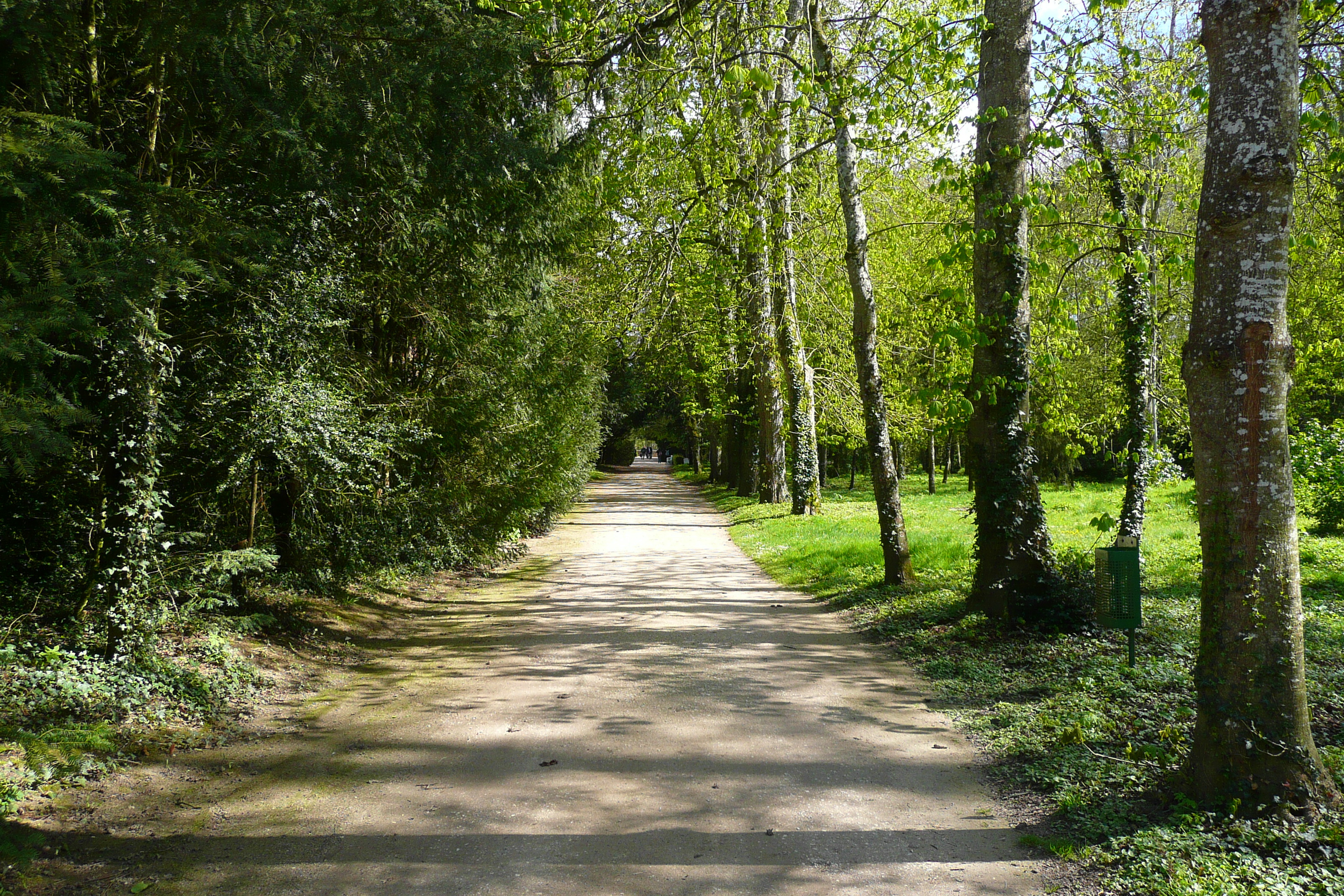 Picture France Chenonceau Castle Gardens of Chenonceau 2008-04 71 - Tour Gardens of Chenonceau