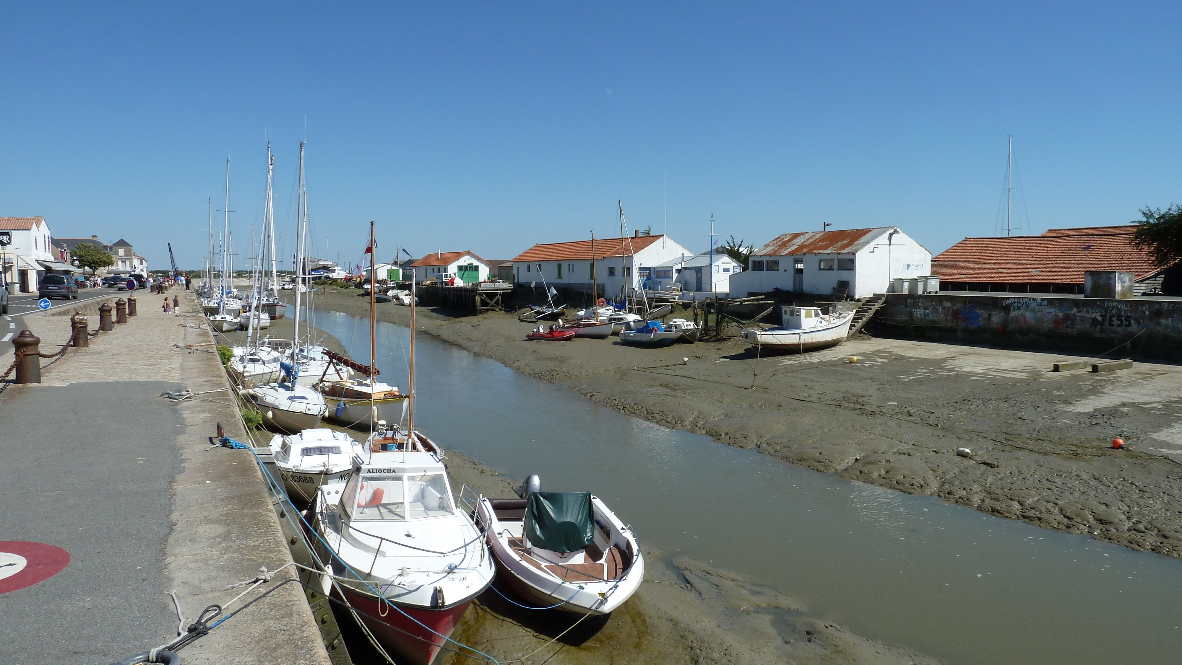 Picture France Noirmoutier 2010-07 29 - Tours Noirmoutier