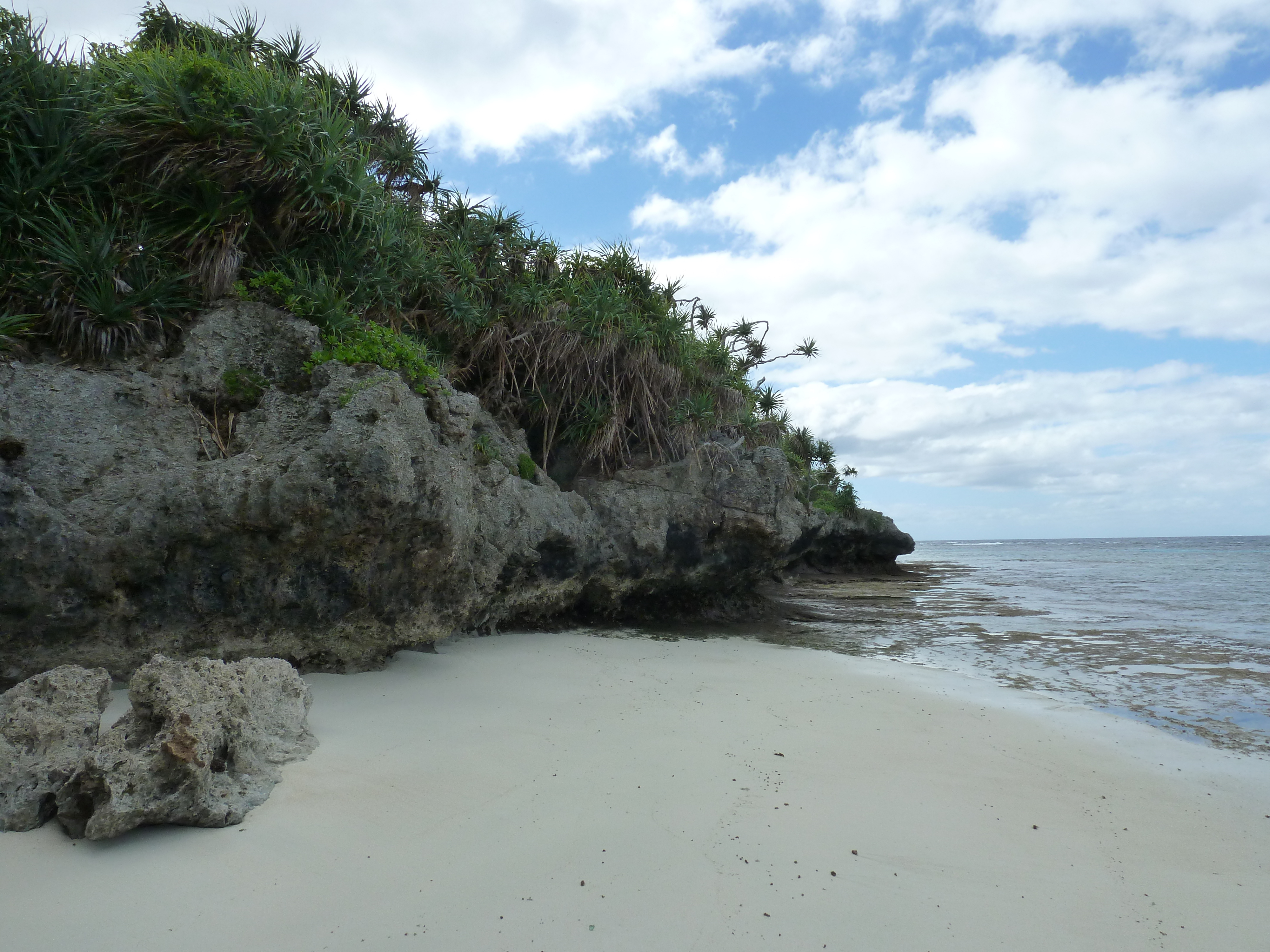 Picture New Caledonia Lifou Baie des tortues 2010-05 28 - Tour Baie des tortues