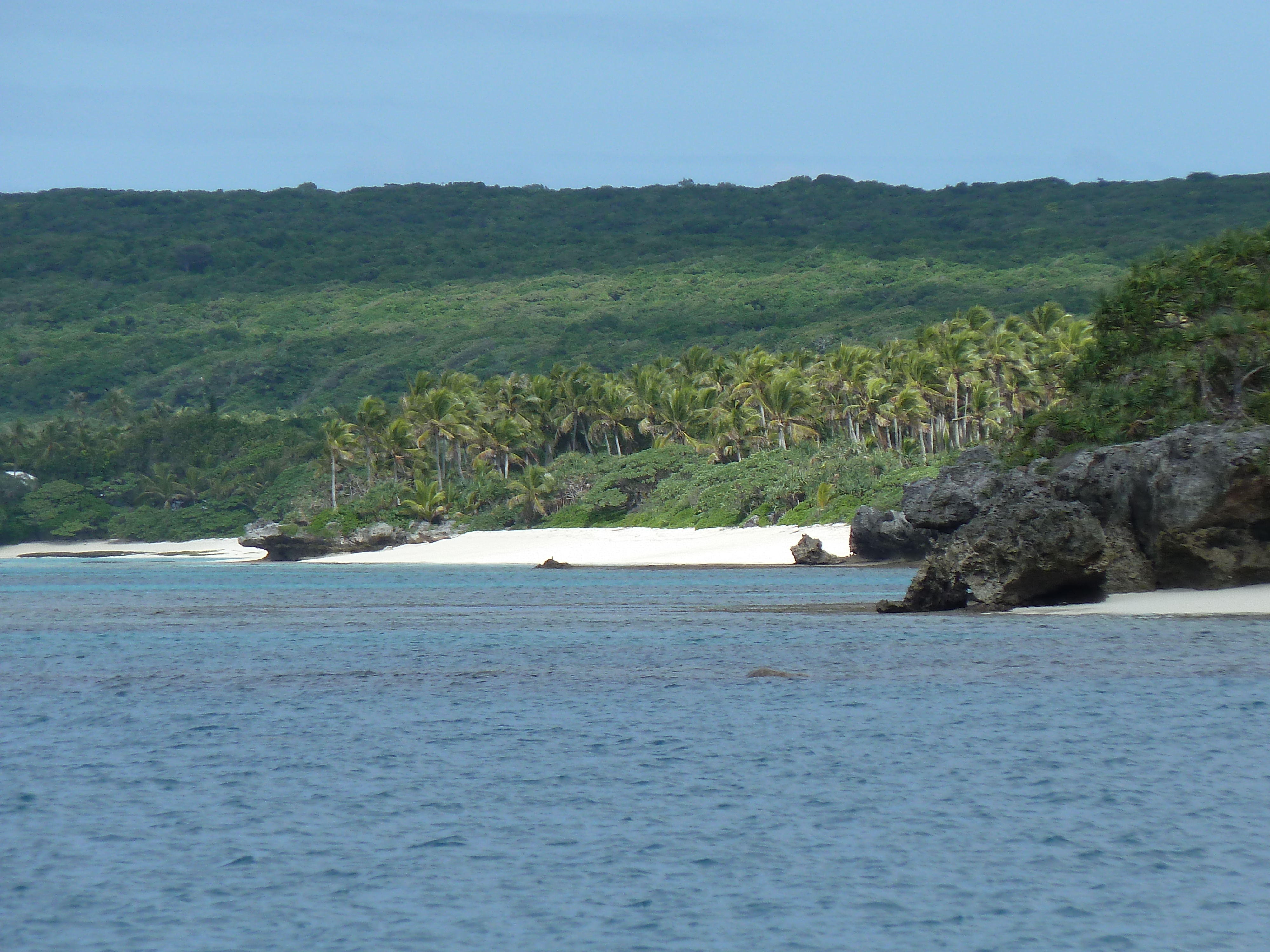 Picture New Caledonia Lifou Baie des tortues 2010-05 36 - Center Baie des tortues