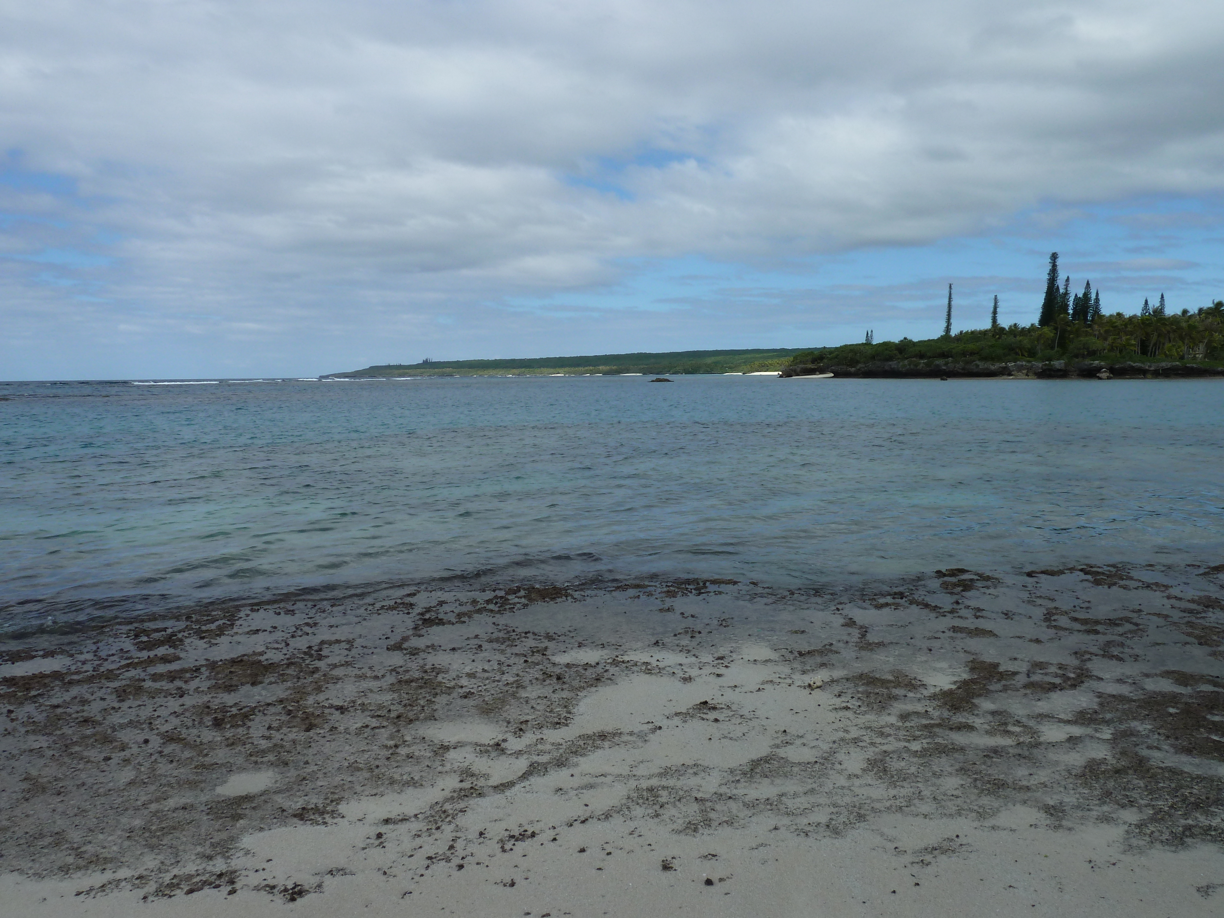 Picture New Caledonia Lifou Baie des tortues 2010-05 34 - Tours Baie des tortues