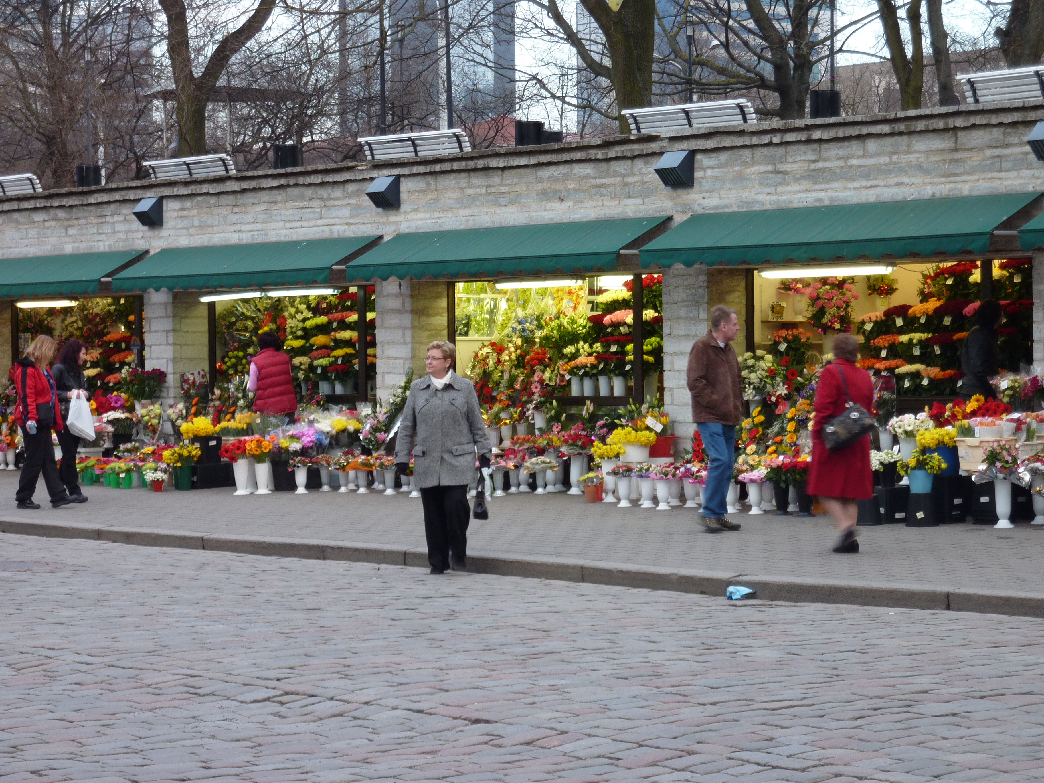 Picture Estonia Tallinn Old Tallinn 2009-04 21 - Journey Old Tallinn